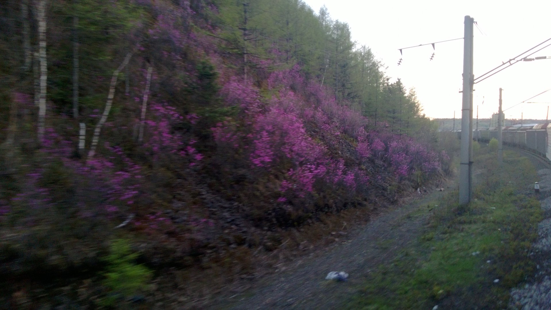 WP_20150517_006.jpg