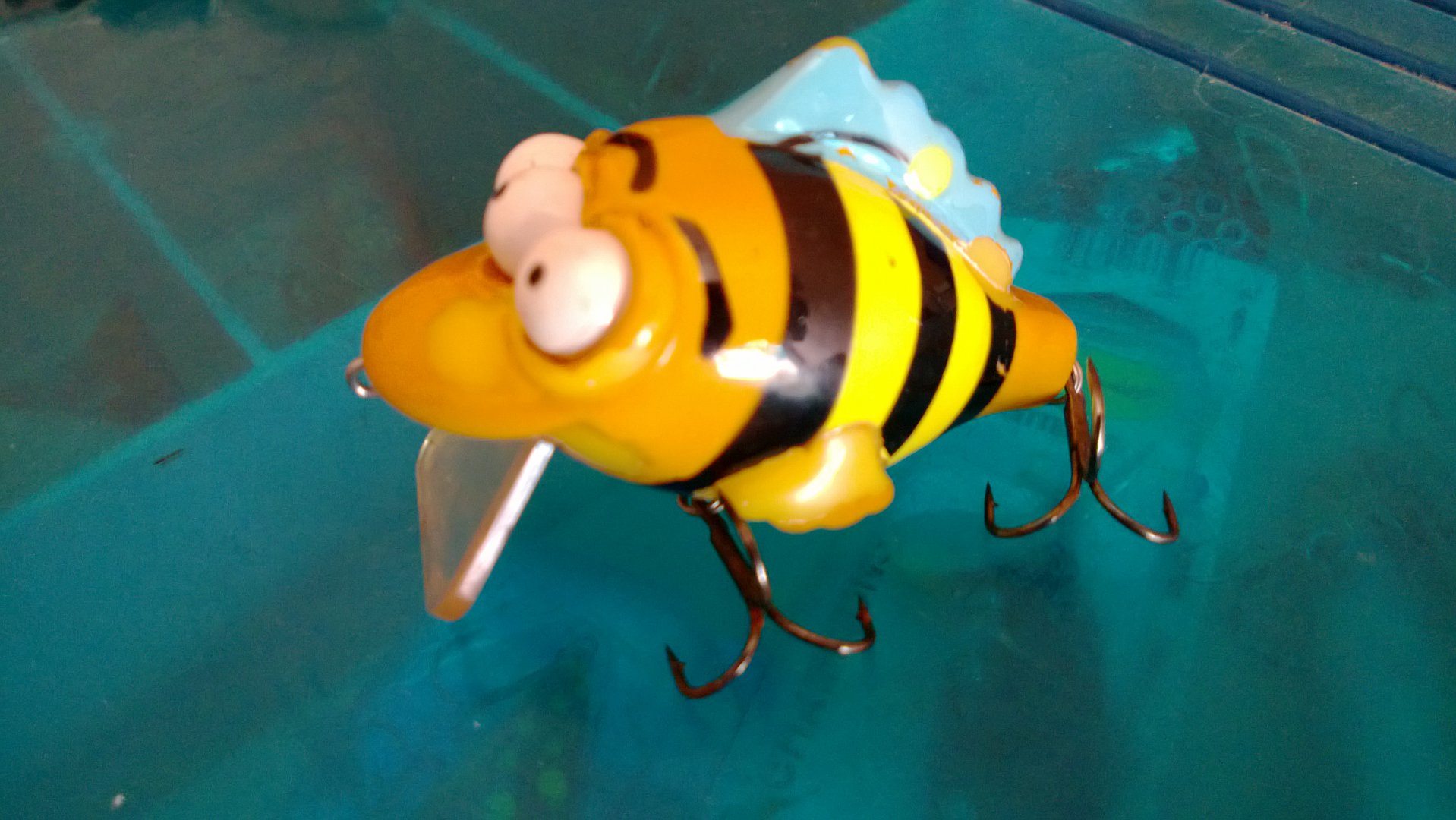 WP_20150620_008.jpg