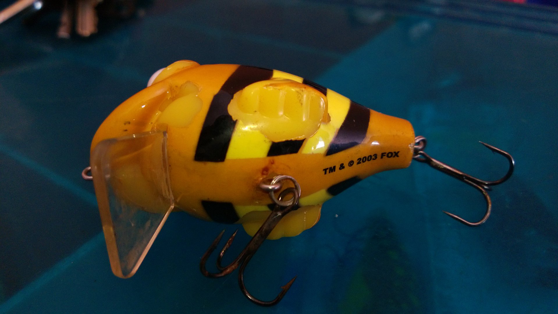 WP_20150620_009.jpg