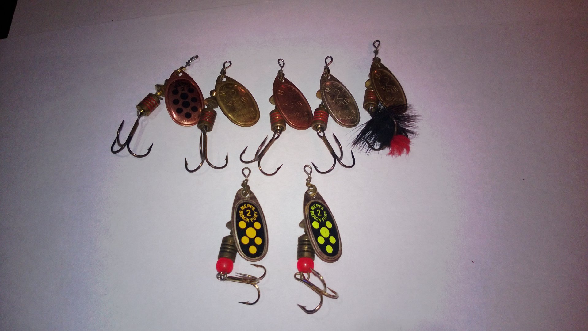 WP_20150828_010.jpg