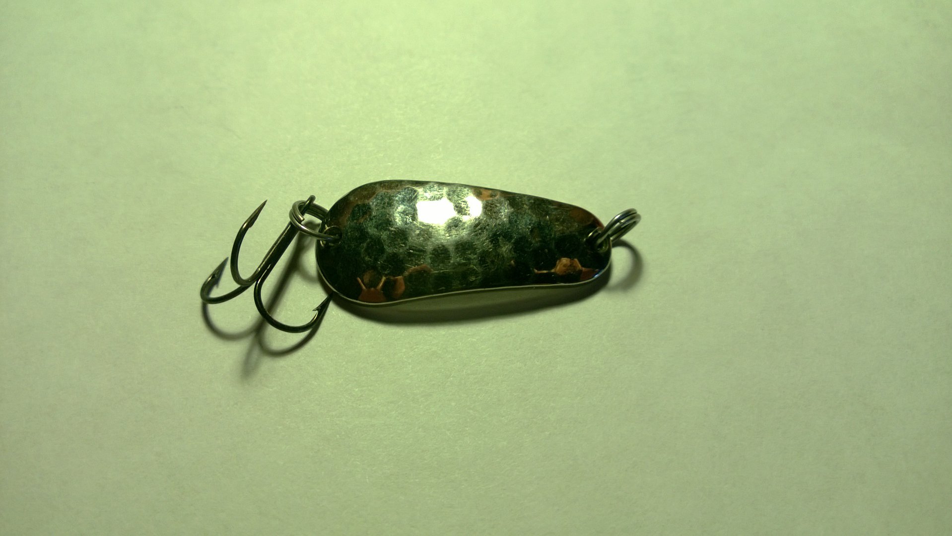 WP_20150831_008.jpg