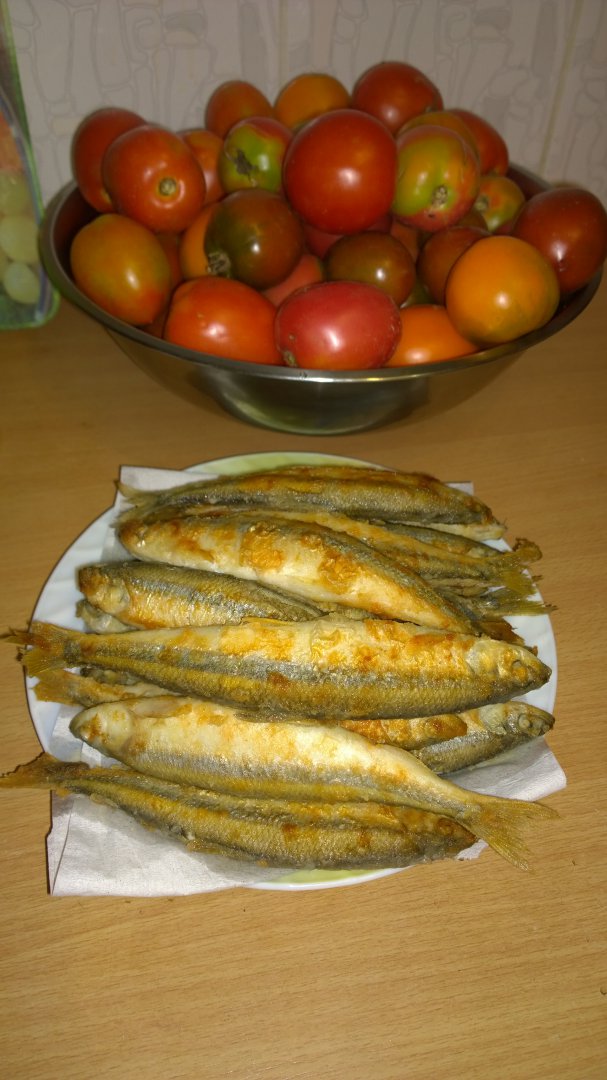 WP_20150901_010[1].jpg
