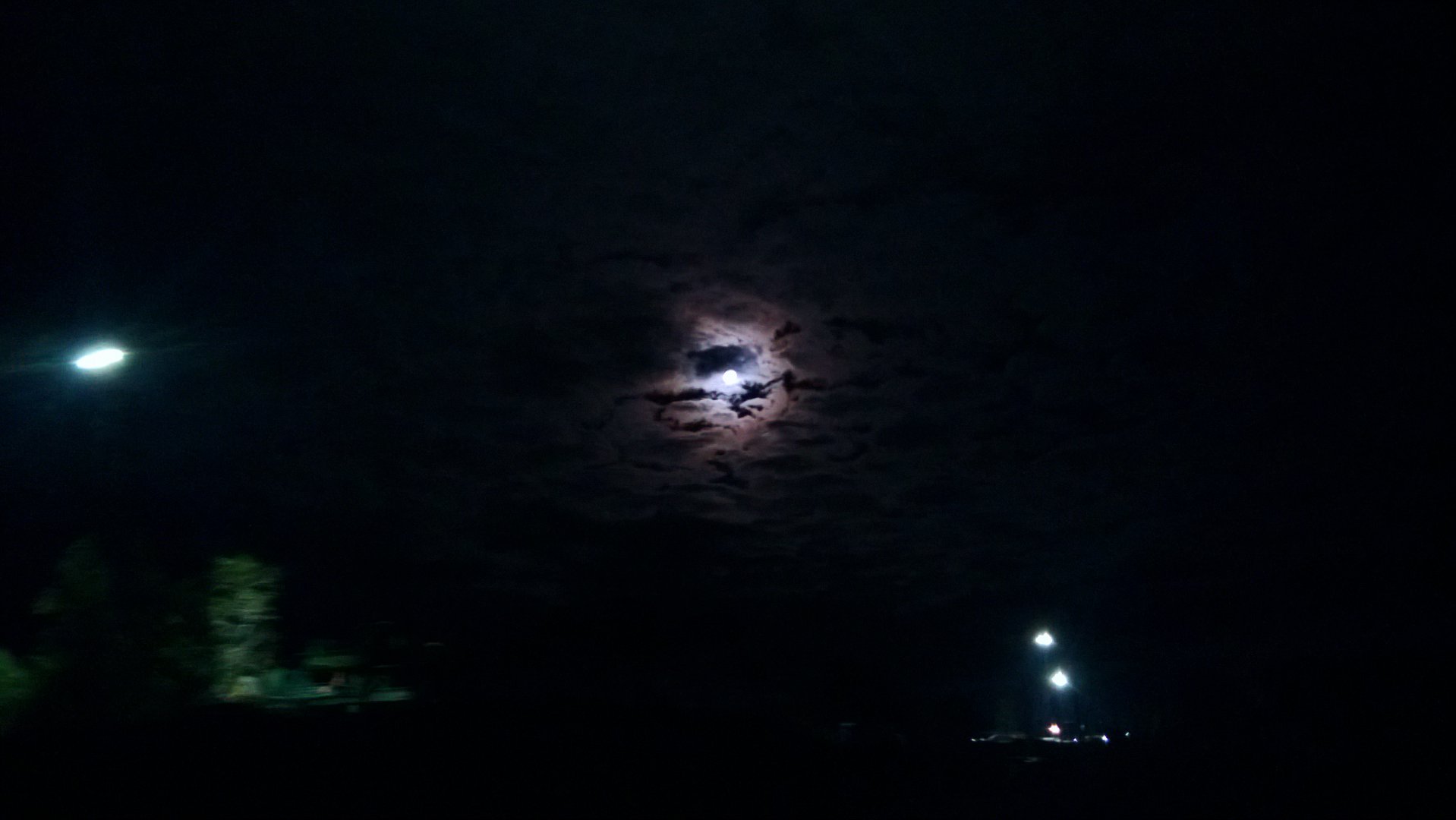 WP_20150927_001.jpg
