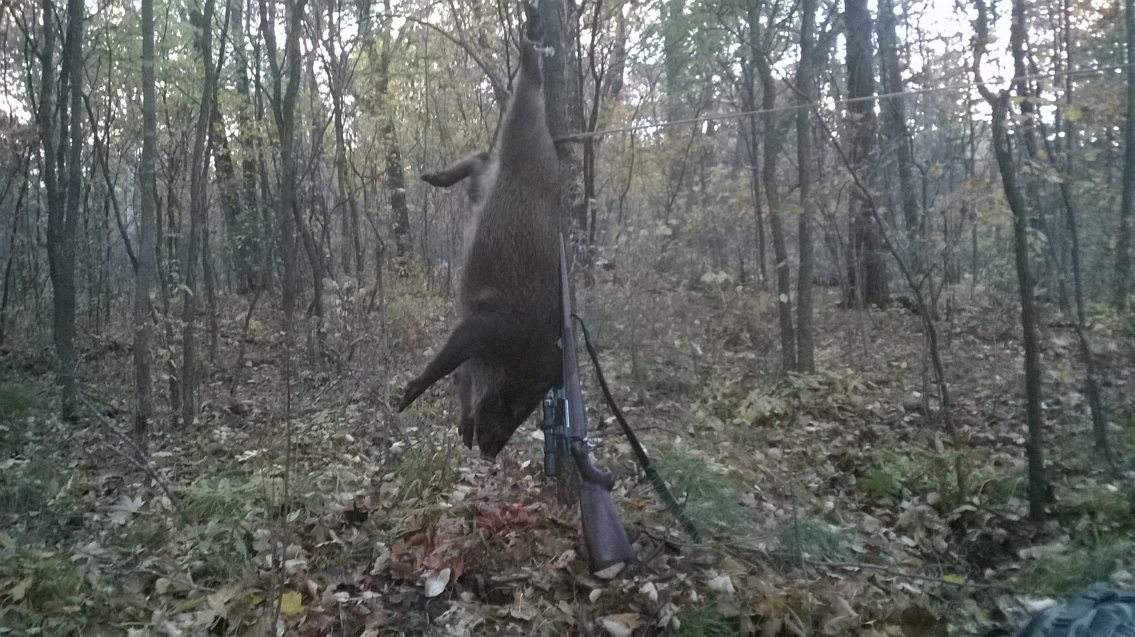 WP_20151012_028.jpg