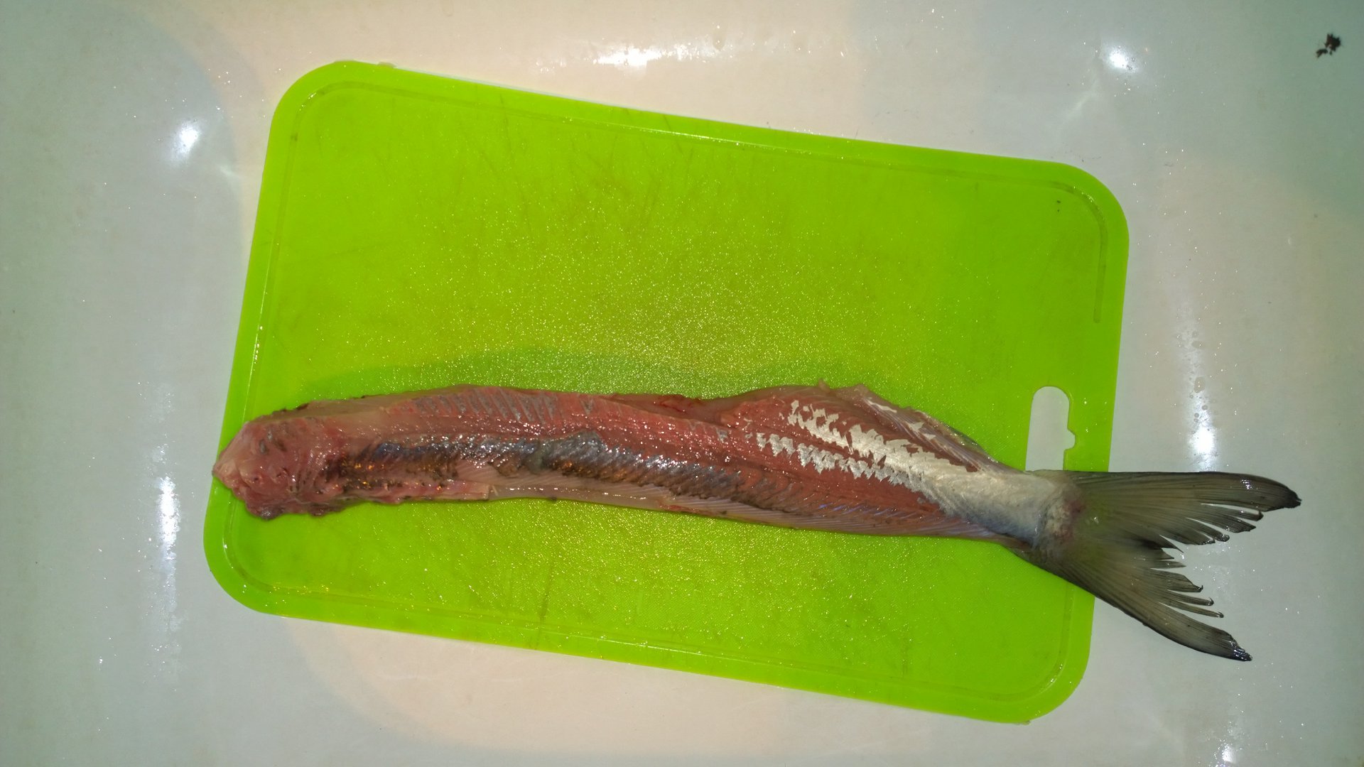 WP_20151031_010.jpg