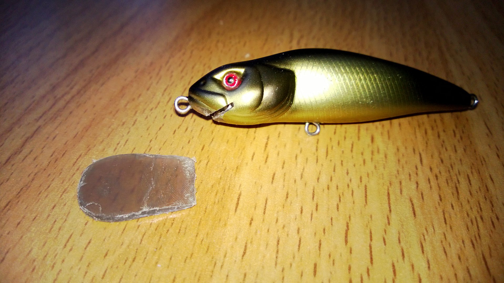 WP_20151229_008.jpg