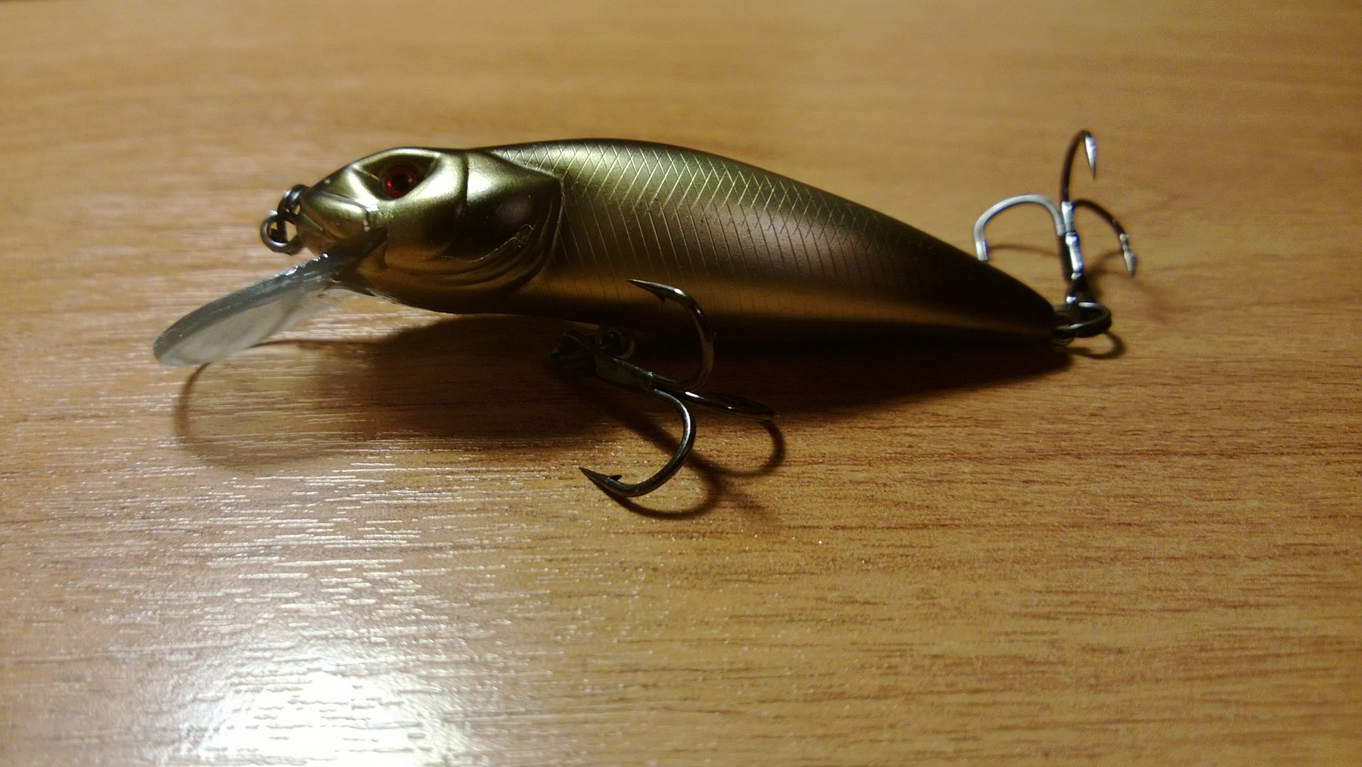 WP_20151229_016.jpg