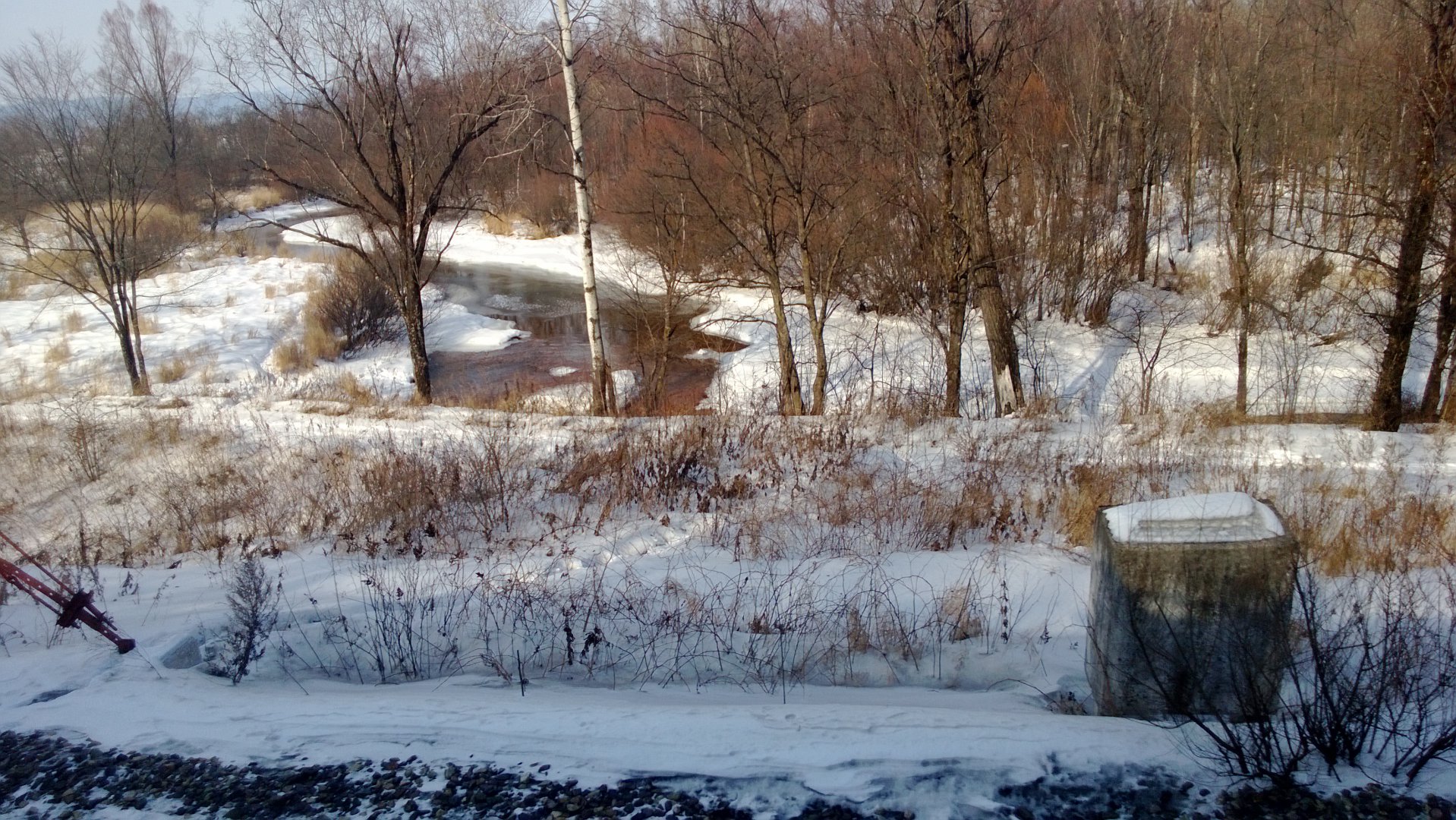 WP_20160312_001.jpg