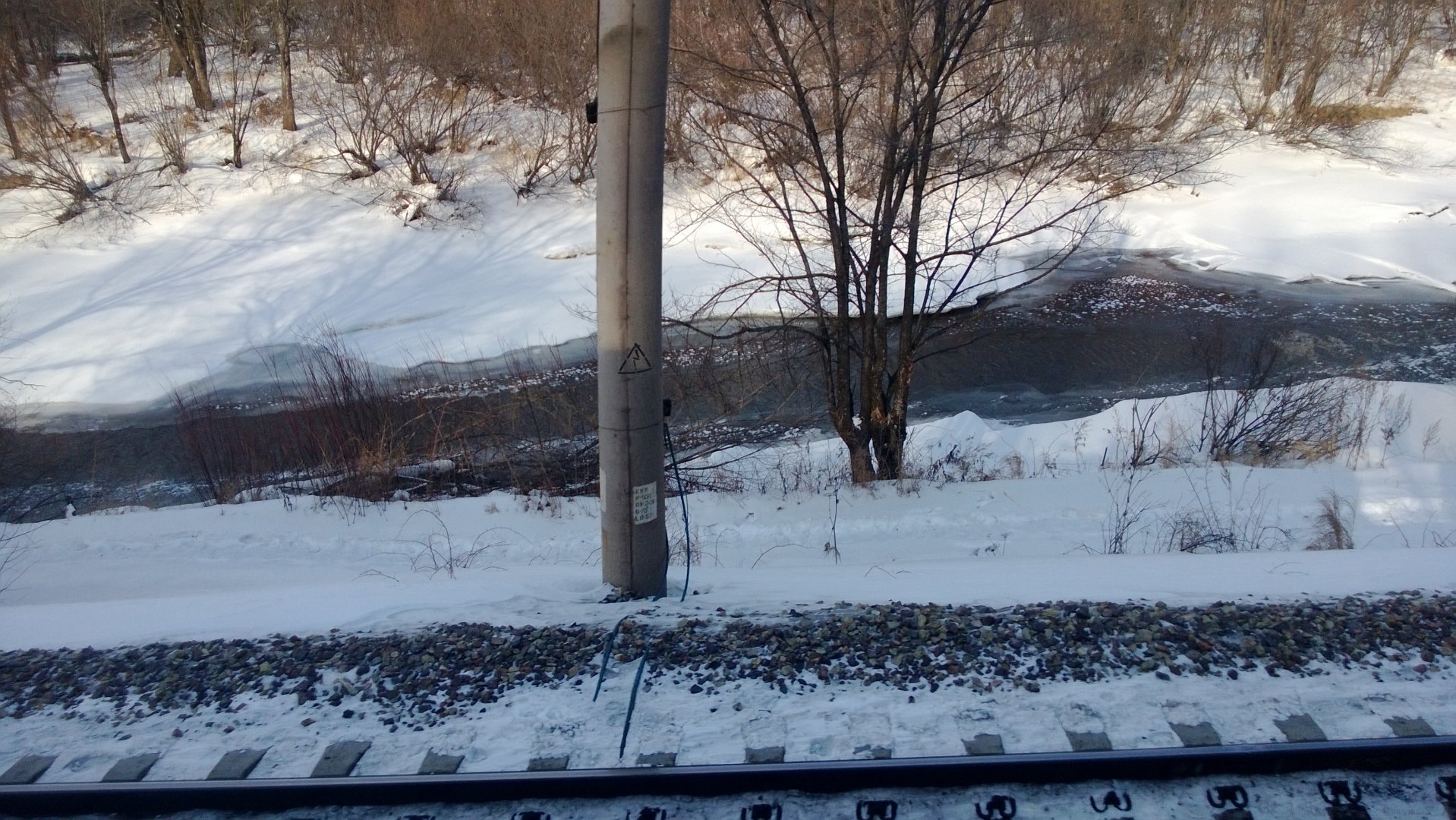 WP_20160312_002.jpg