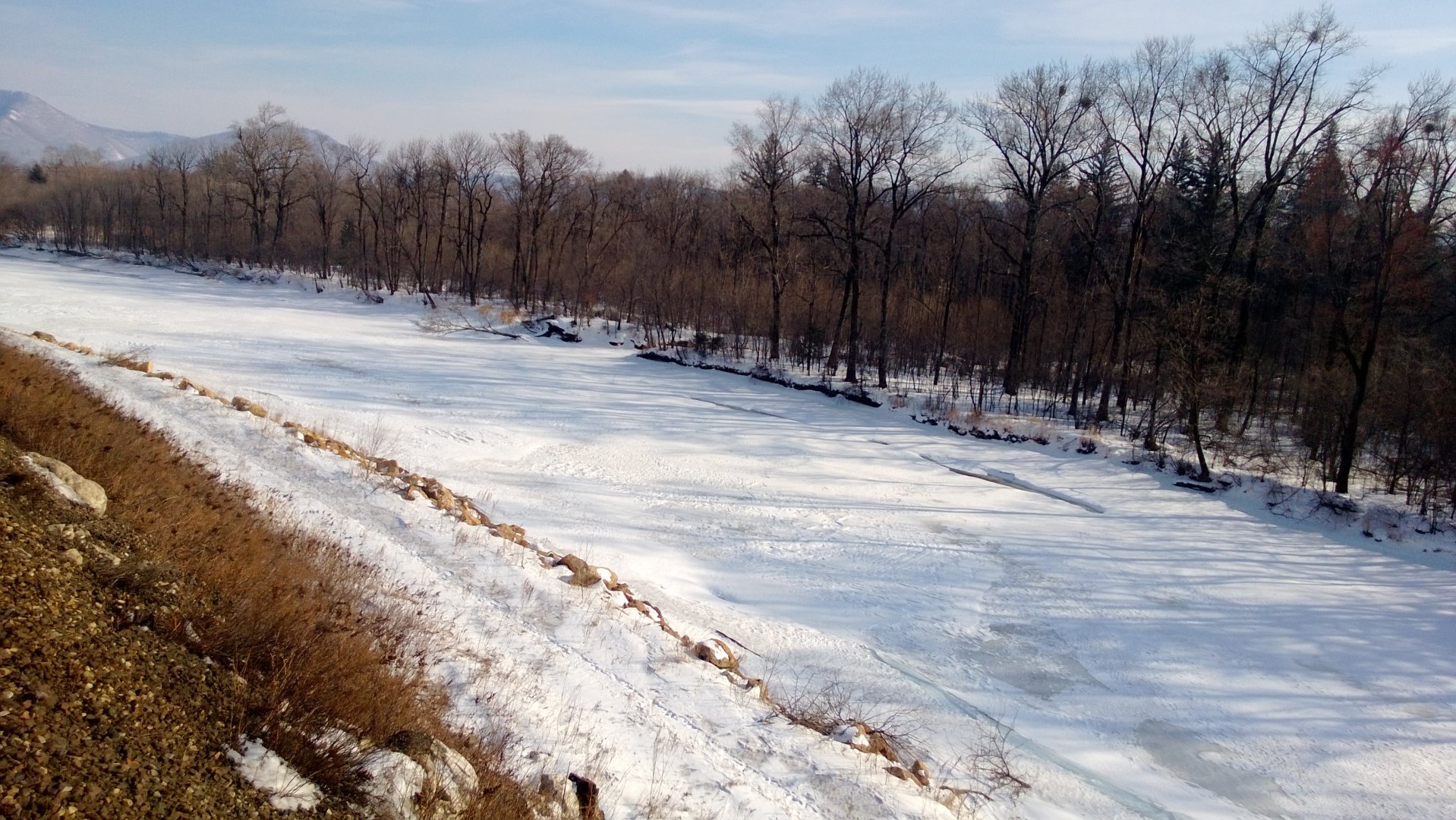 WP_20160312_009.jpg