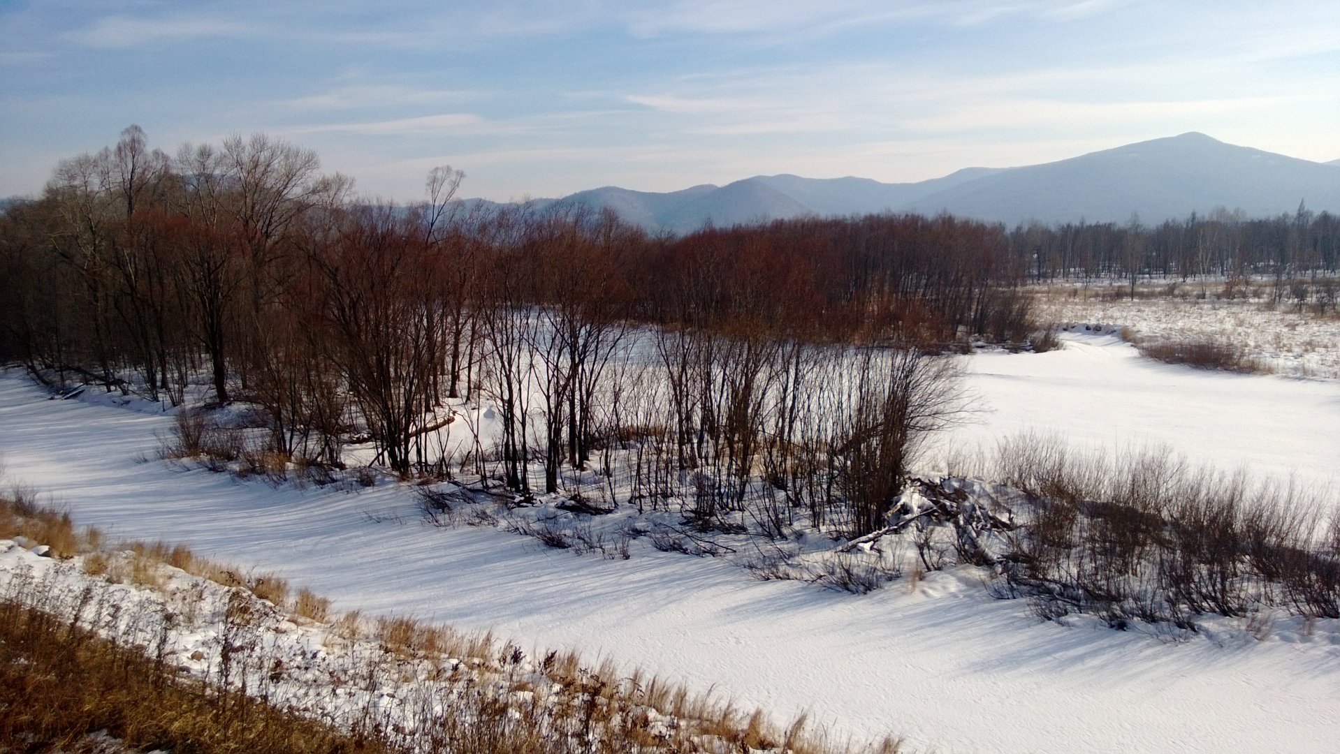 WP_20160312_011.jpg