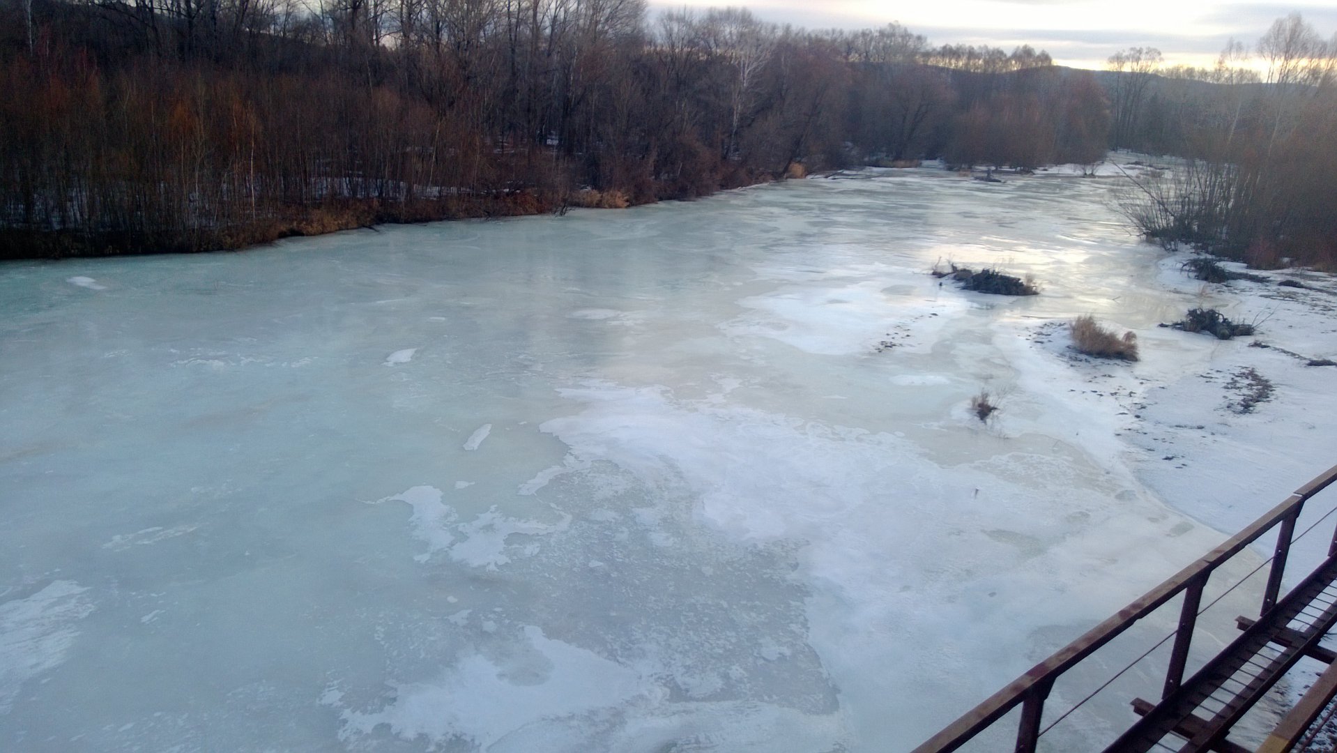 WP_20160323_005.jpg