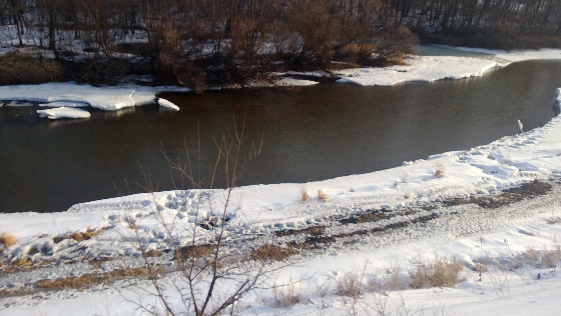 WP_20160323_007.jpg