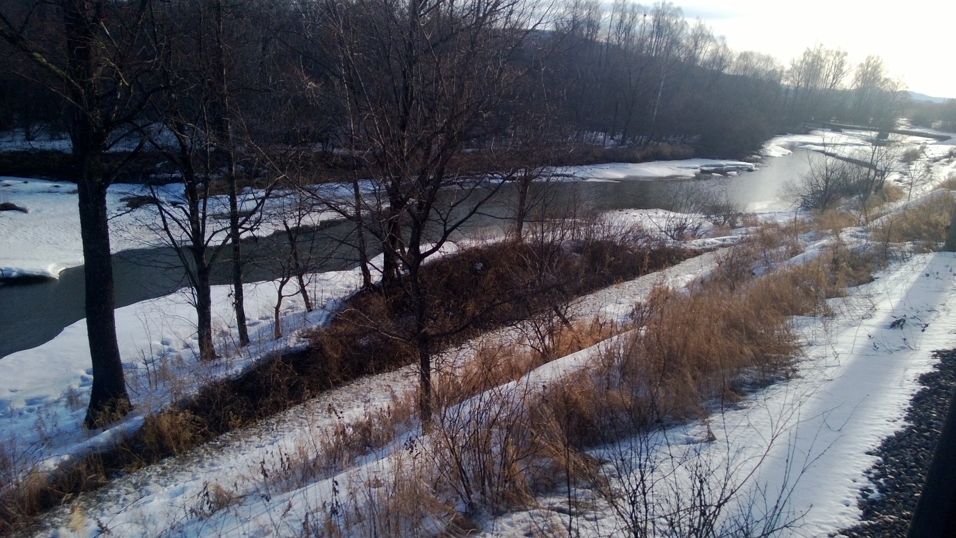 WP_20160323_009.jpg