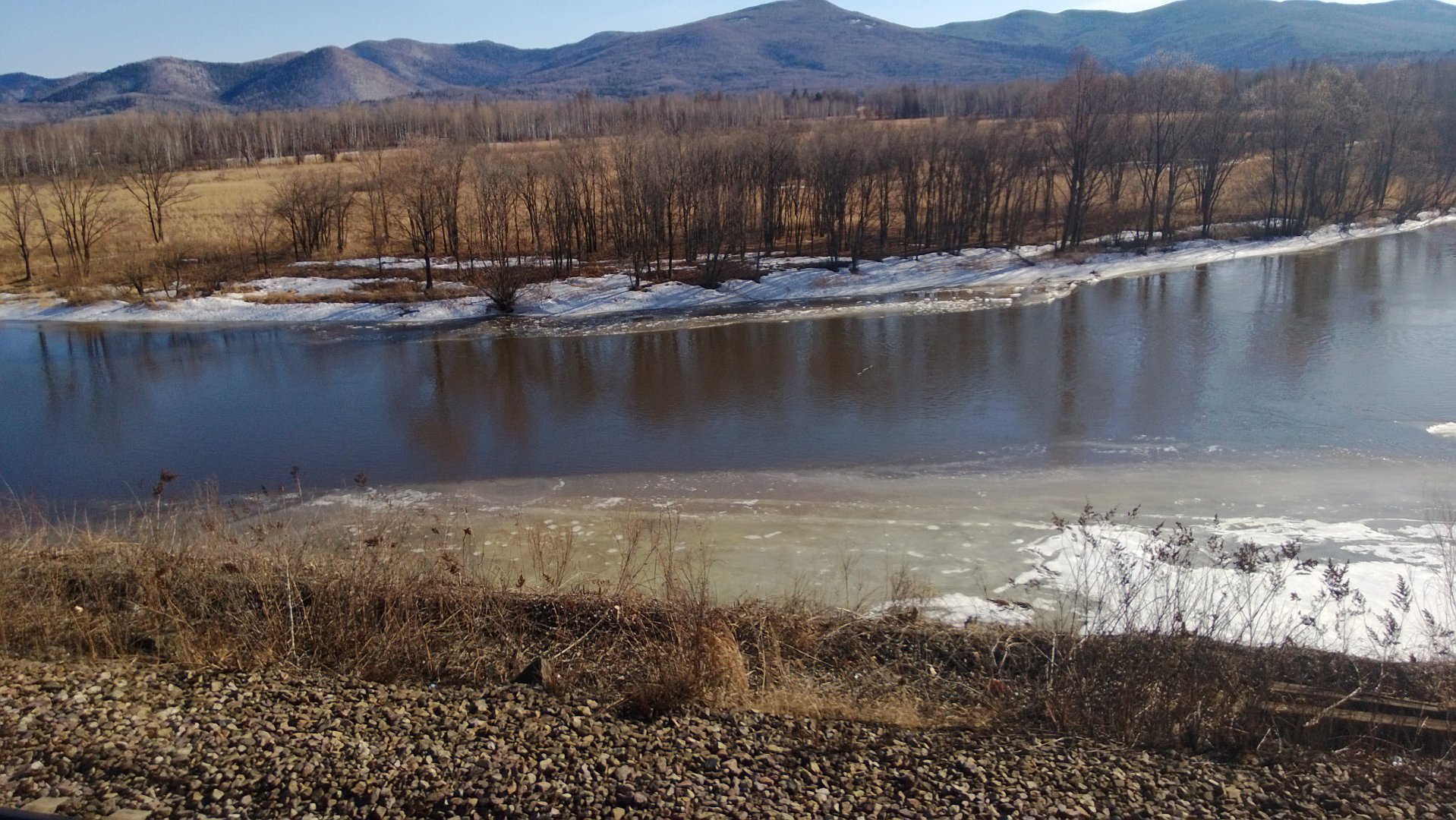 WP_20160327_011.jpg