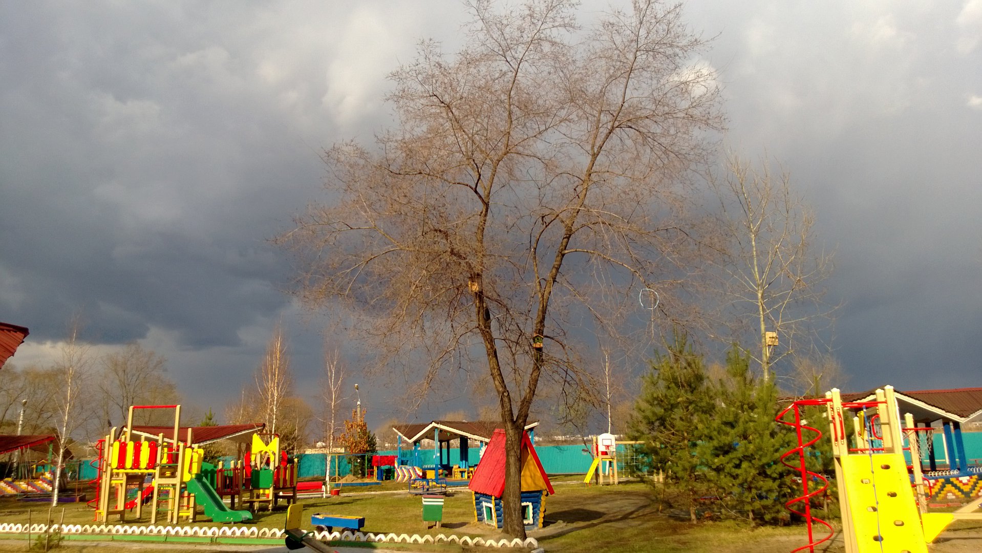WP_20160426_001.jpg