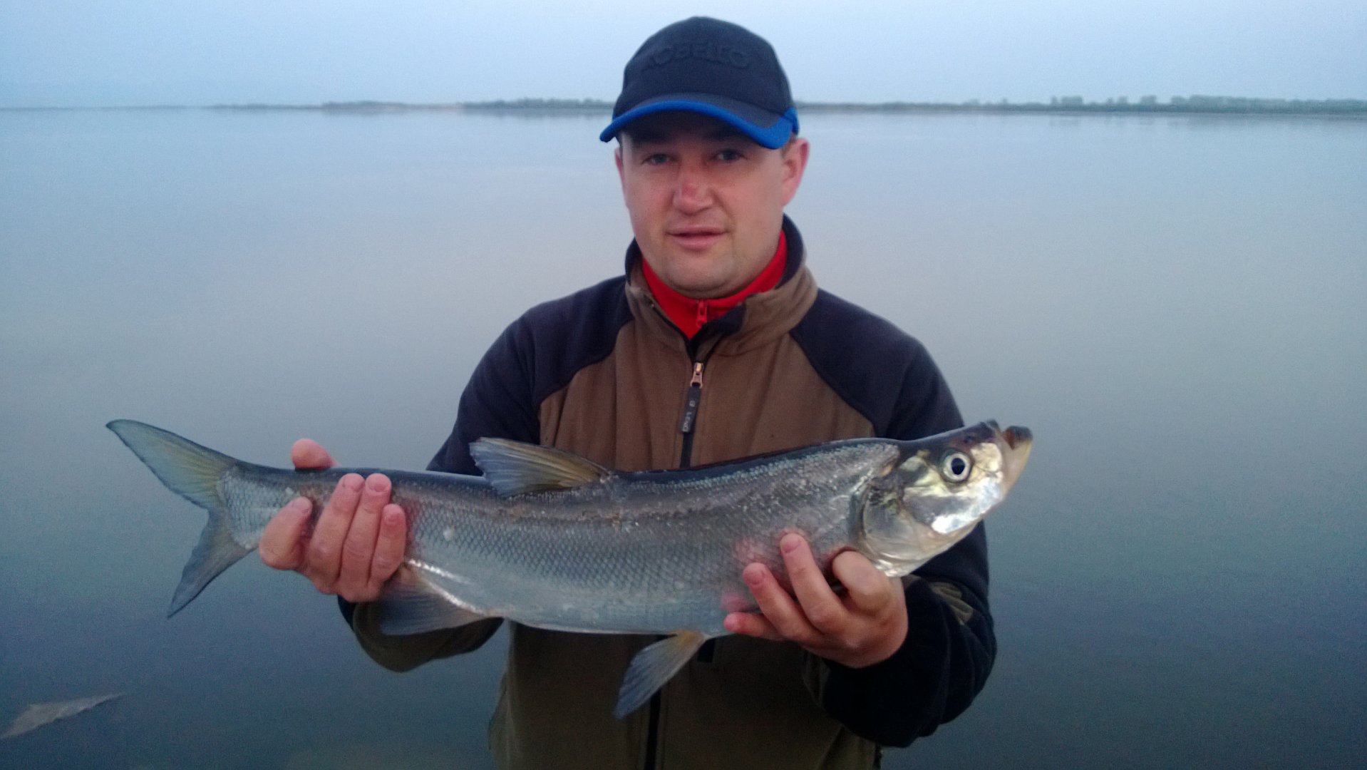 WP_20160519_003.jpg