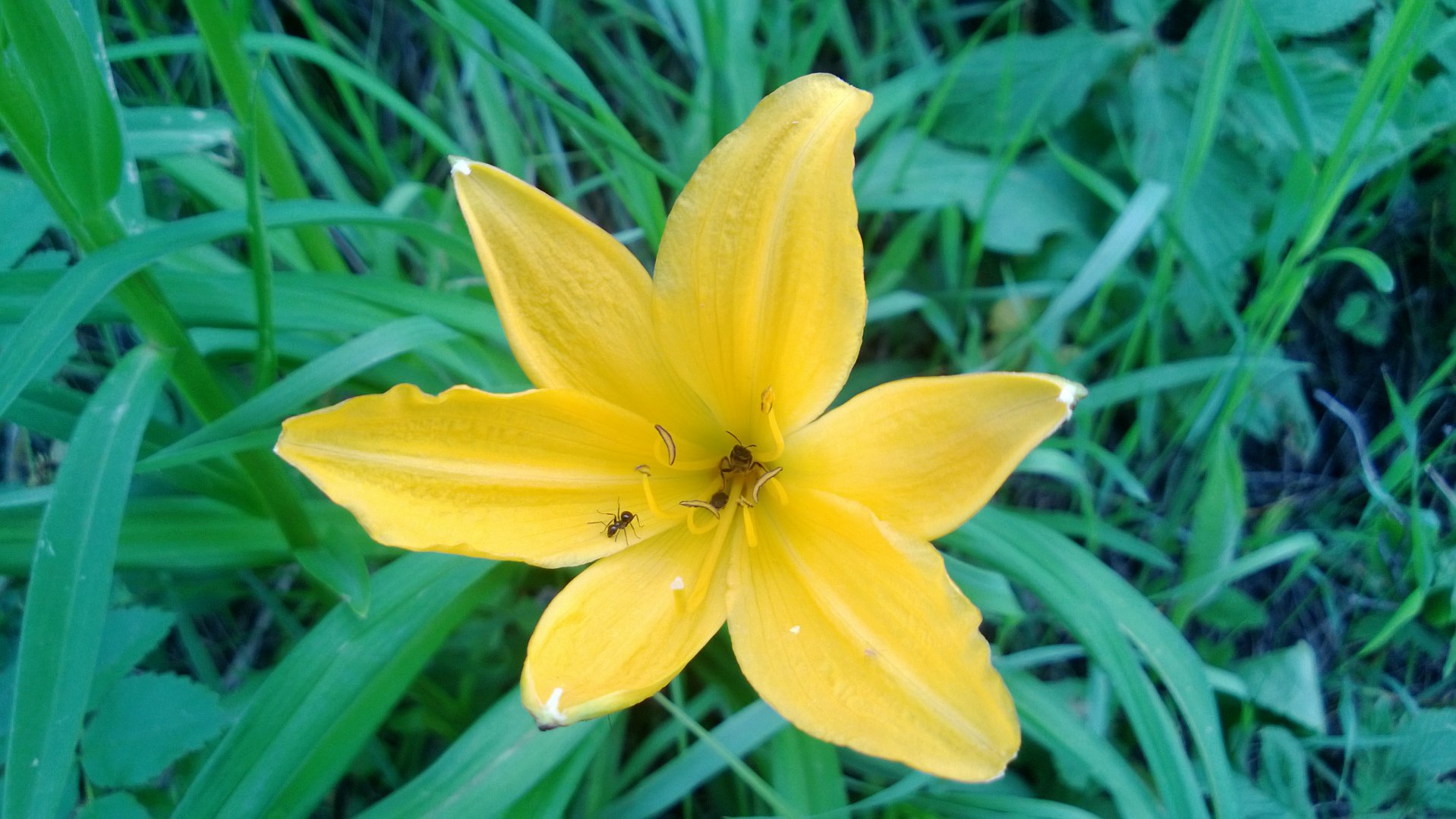 WP_20160613_037.jpg