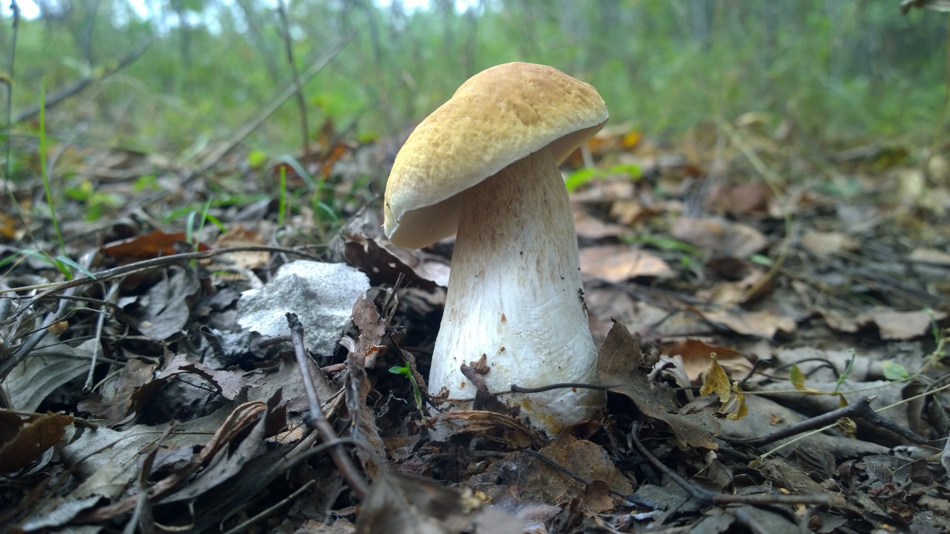WP_20160829_002.jpg