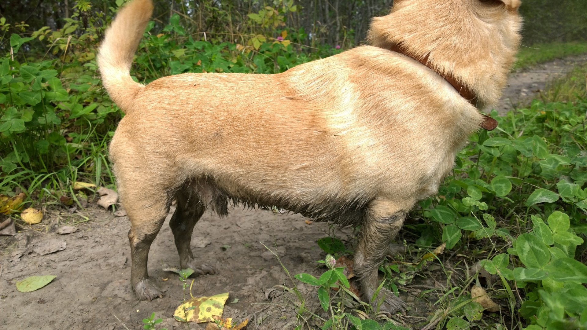 WP_20160829_016.jpg