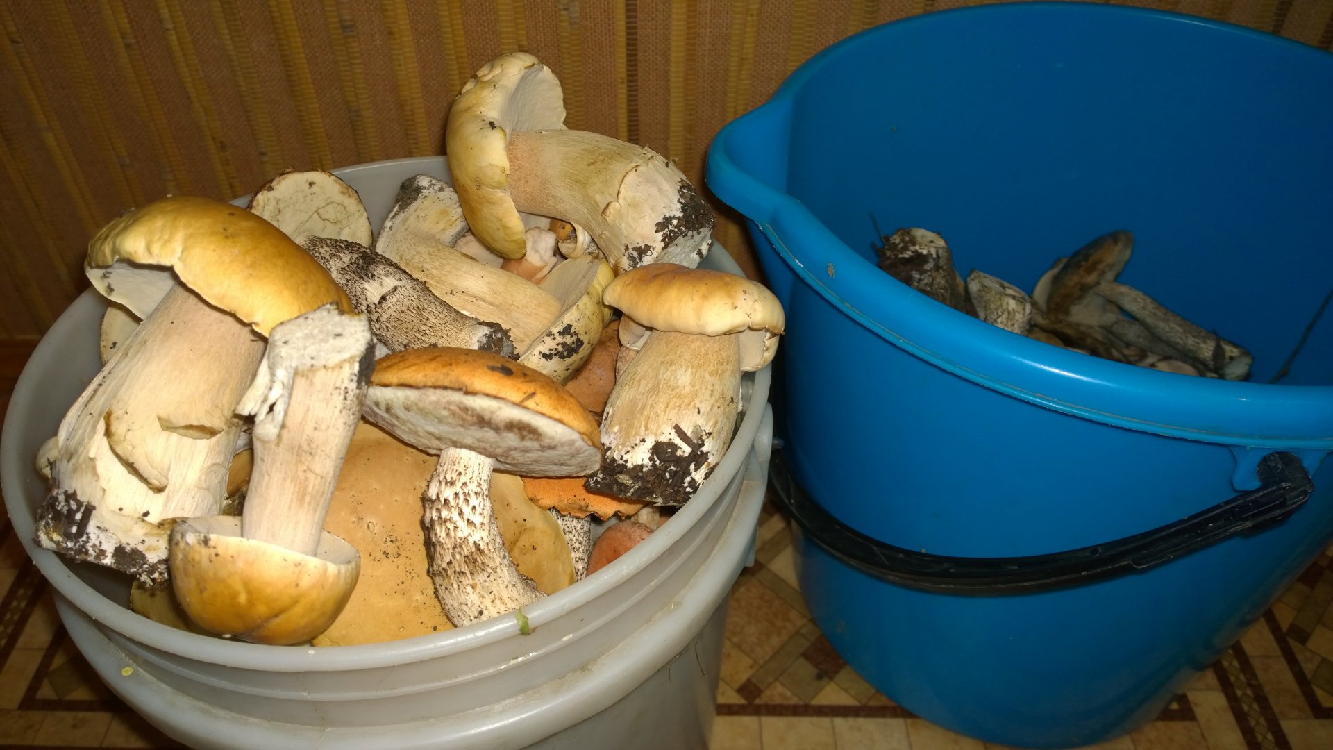 WP_20160829_027.jpg