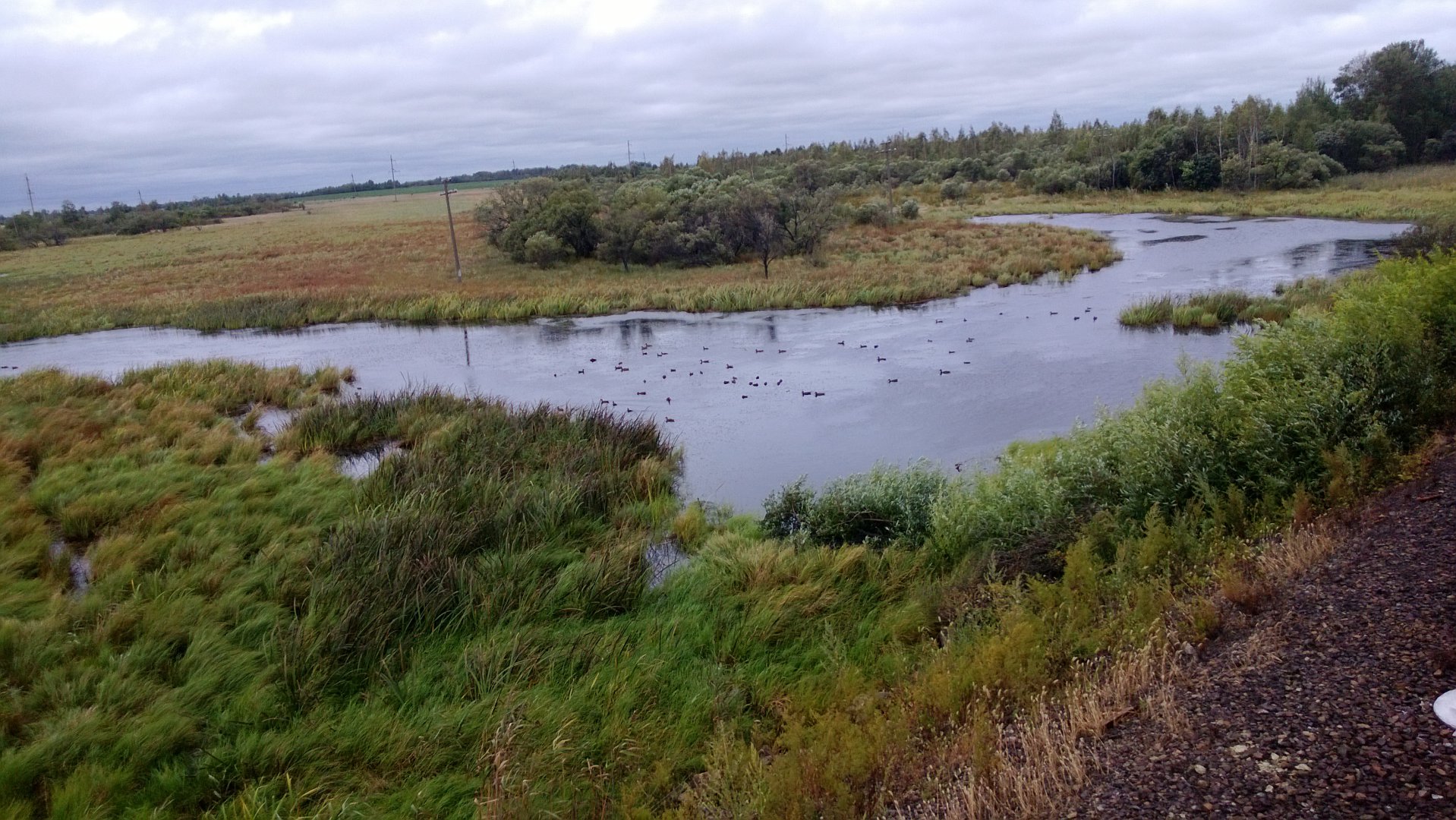 WP_20160830_003.jpg