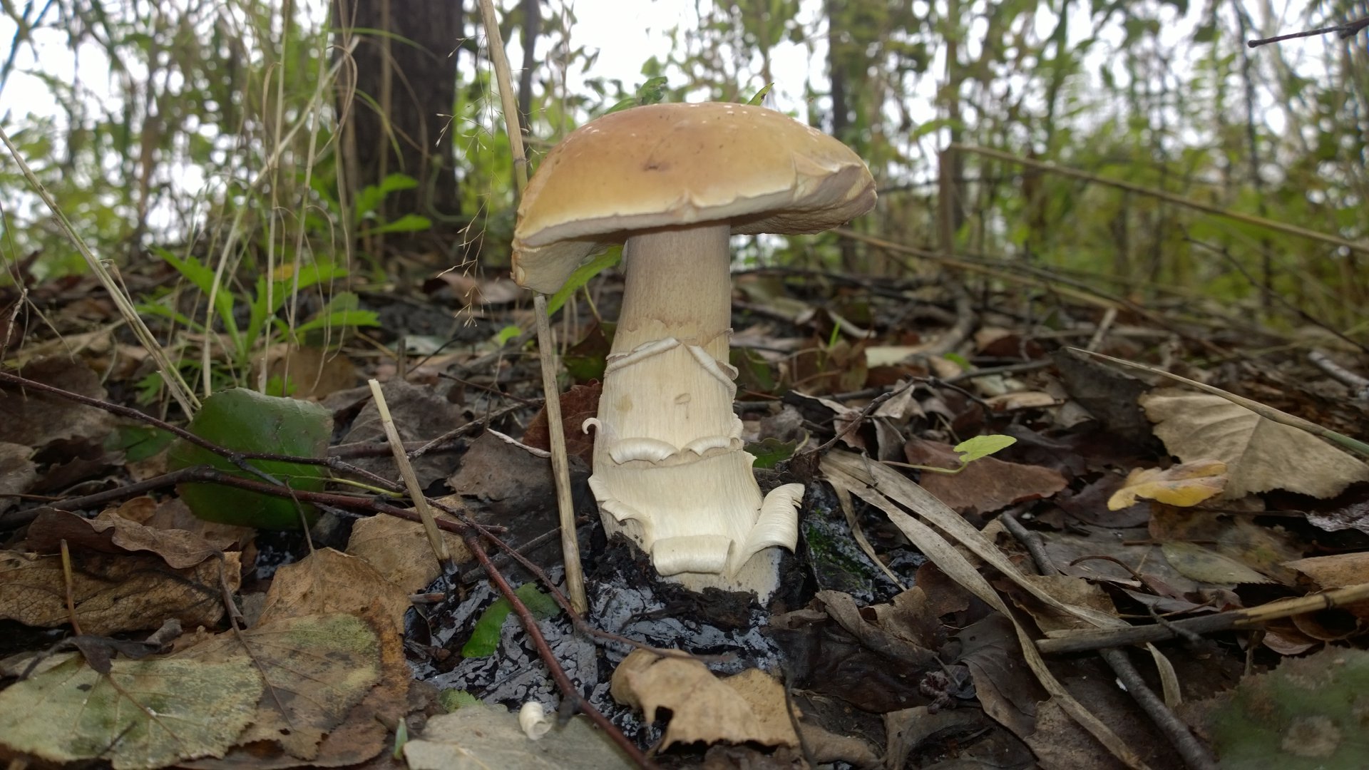 WP_20160902_008.jpg