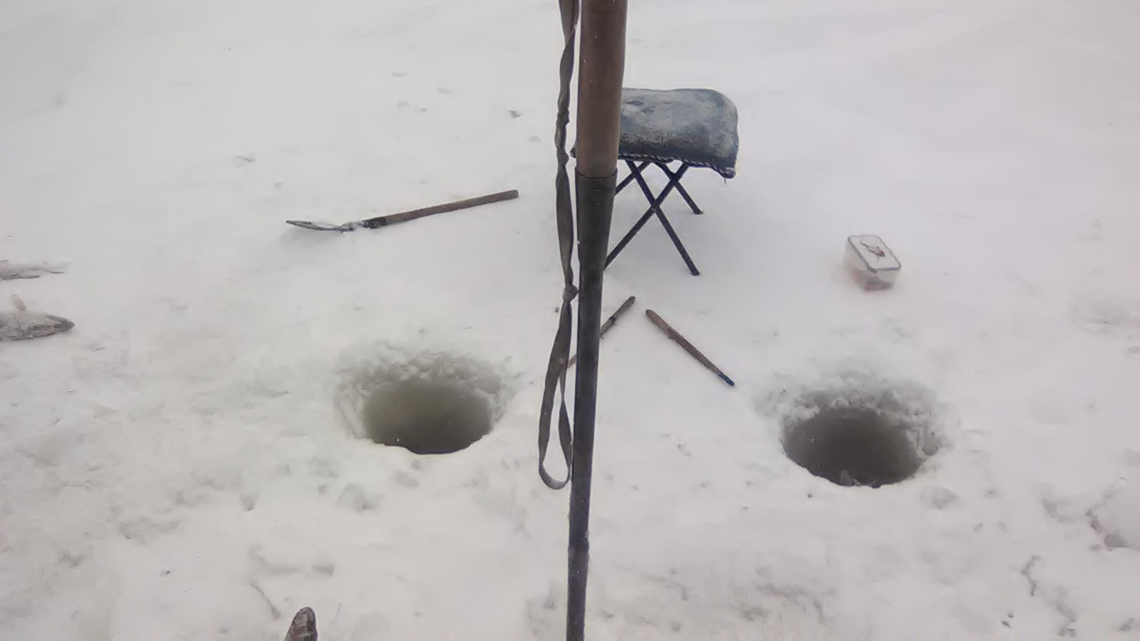 WP_20161201_001.jpg WP_20161201_001.jpg