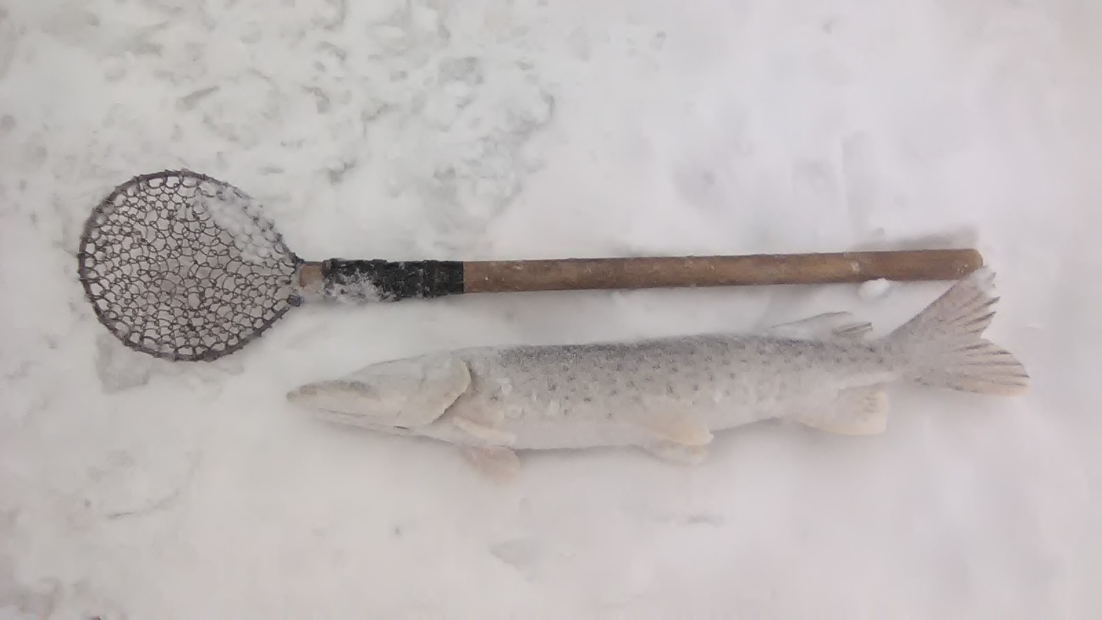 WP_20161201_002.jpg WP_20161201_002.jpg