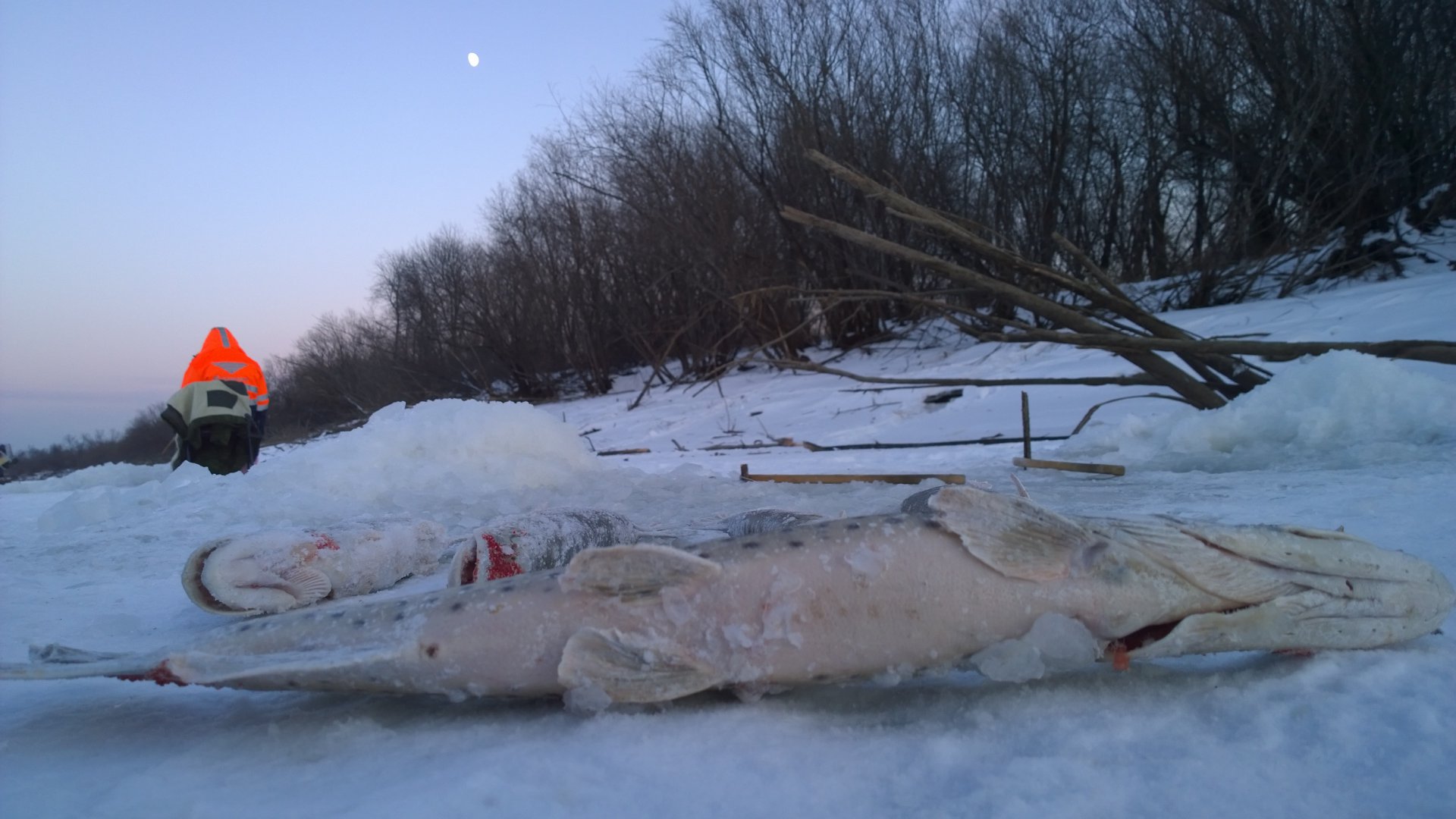 WP_20161210_011.jpg