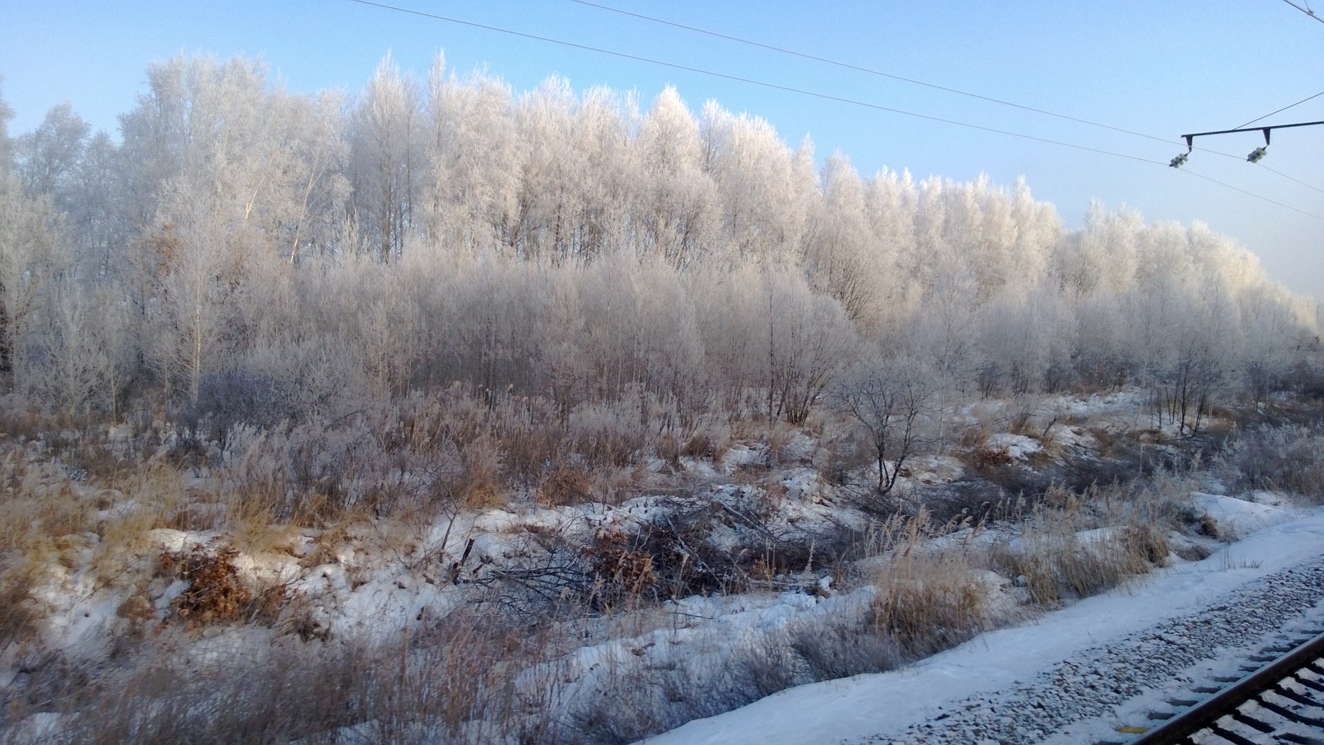 WP_20170104_007.jpg