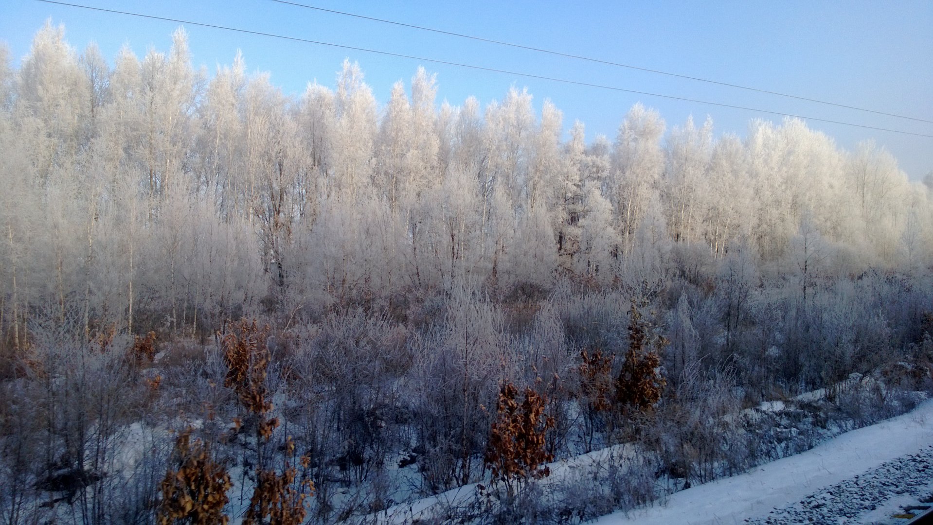 WP_20170104_008.jpg