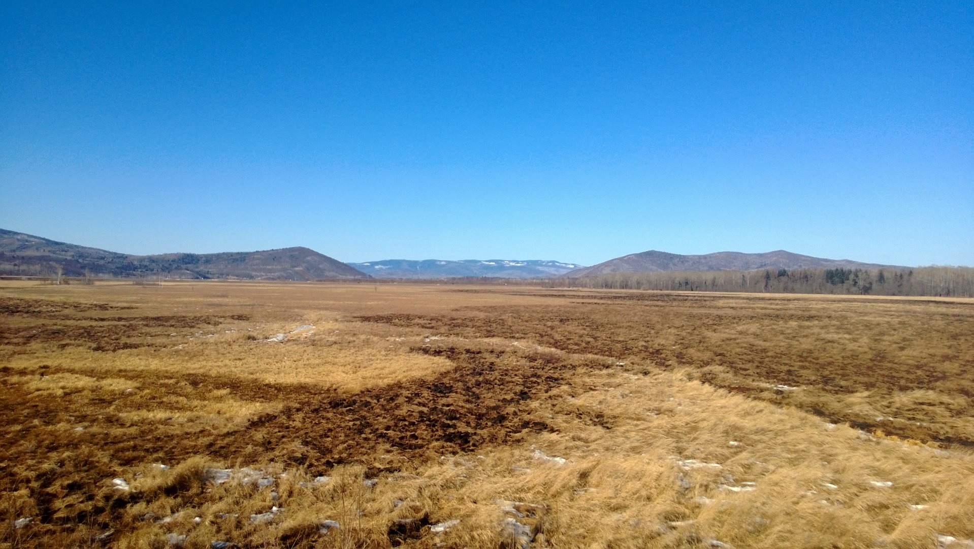 WP_20170310_004.jpg