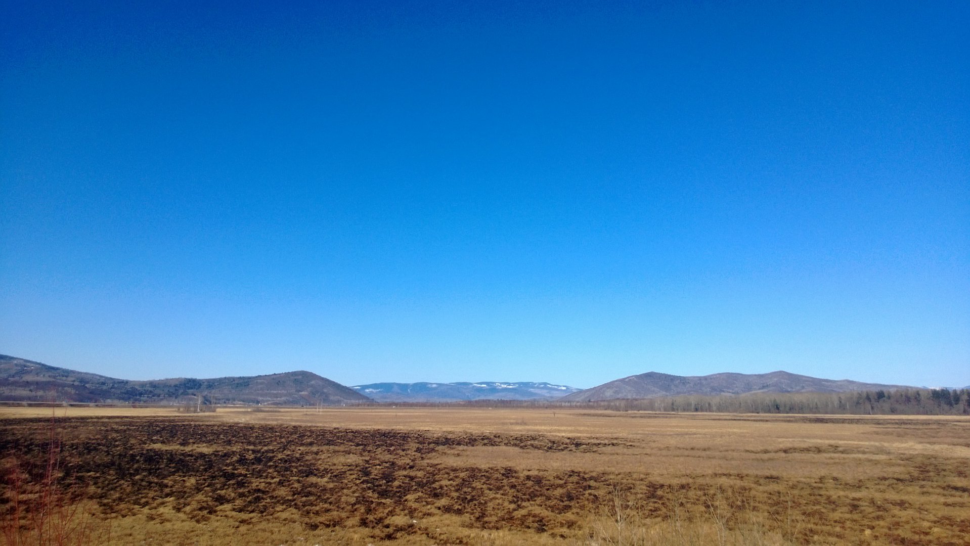 WP_20170310_005.jpg