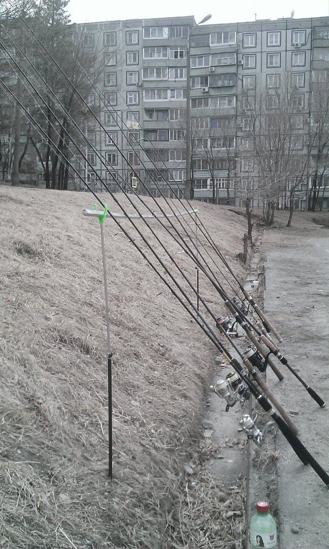 WP_20170415_002.jpg
