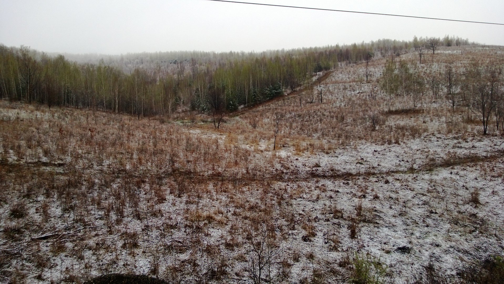 WP_20170507_010.jpg