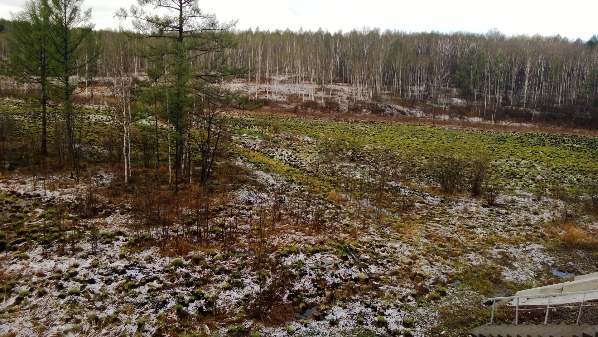 WP_20170507_012.jpg