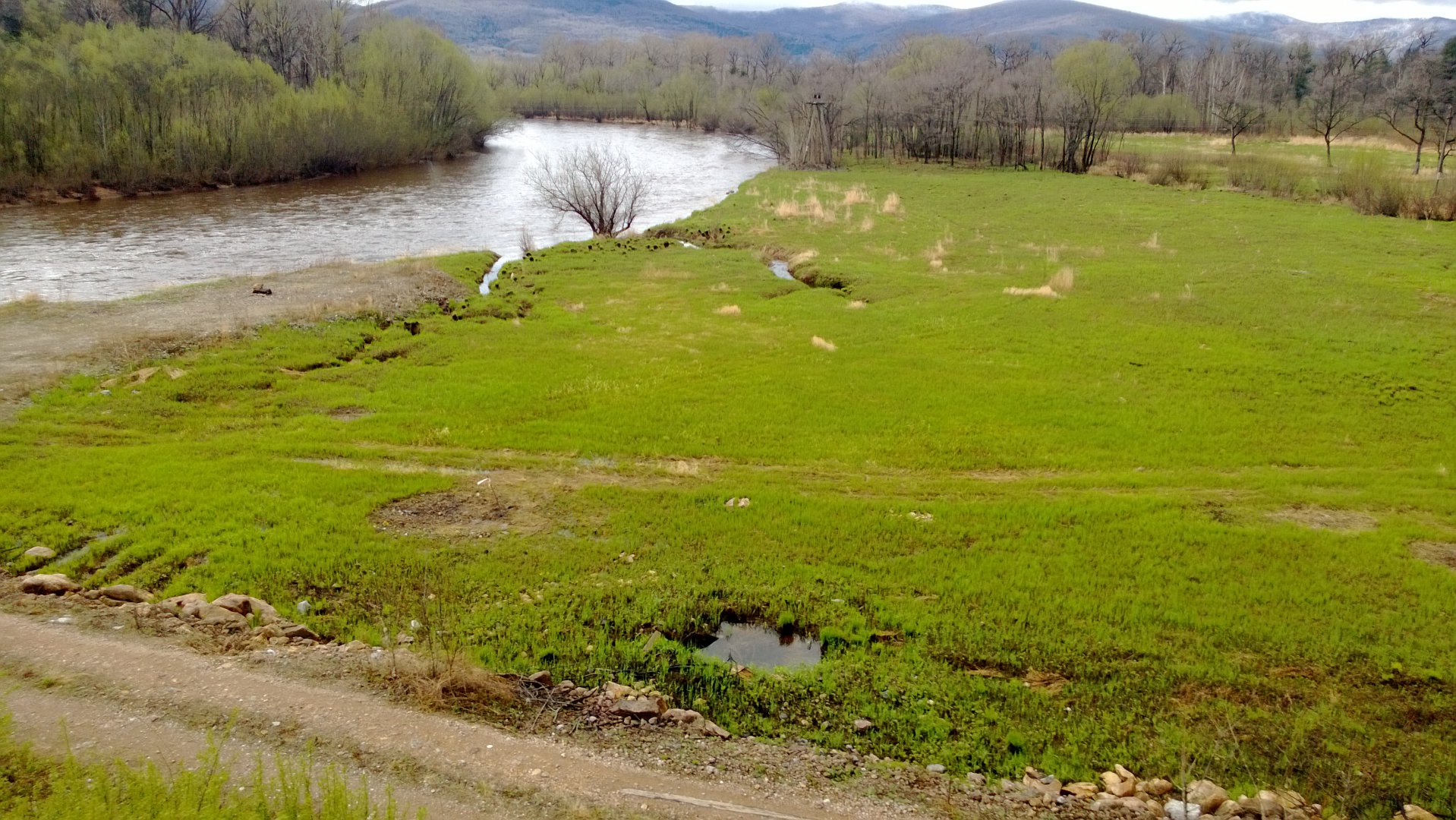 WP_20170507_016.jpg