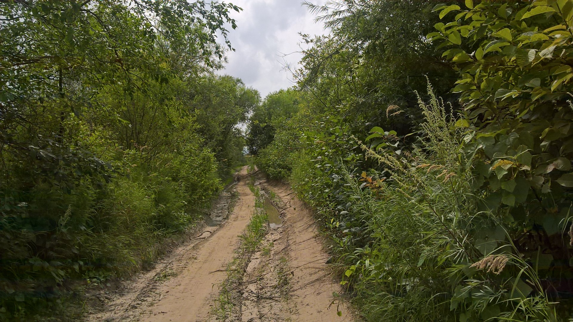 WP_20170804_14_04_30_Pro.jpg