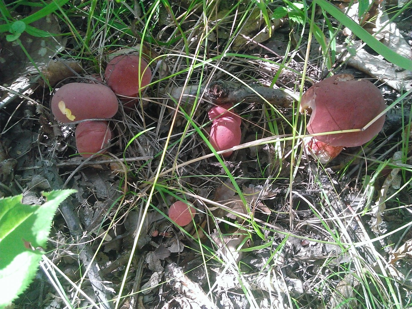 WP_20170814_002.jpg