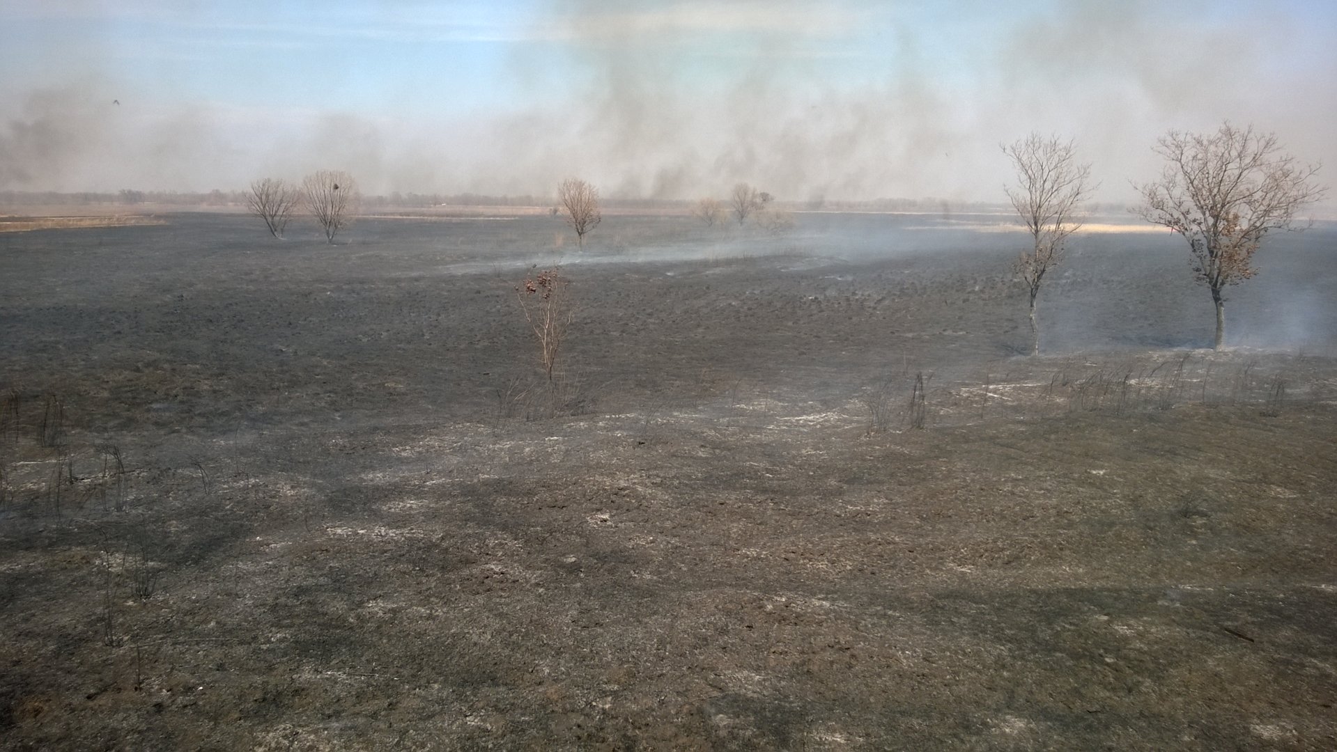 WP_20180424_003.jpg