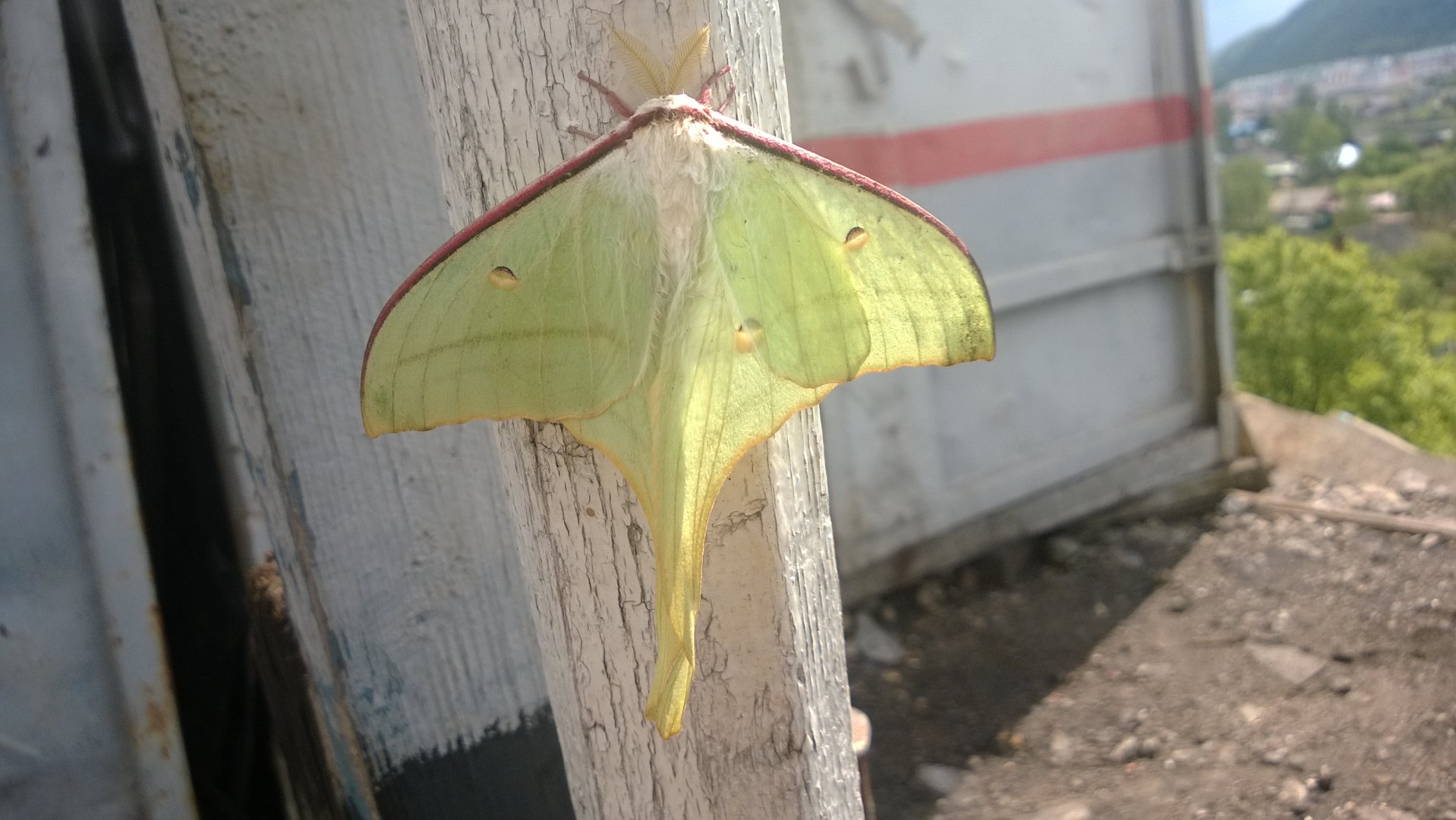 WP_20180612_010.jpg