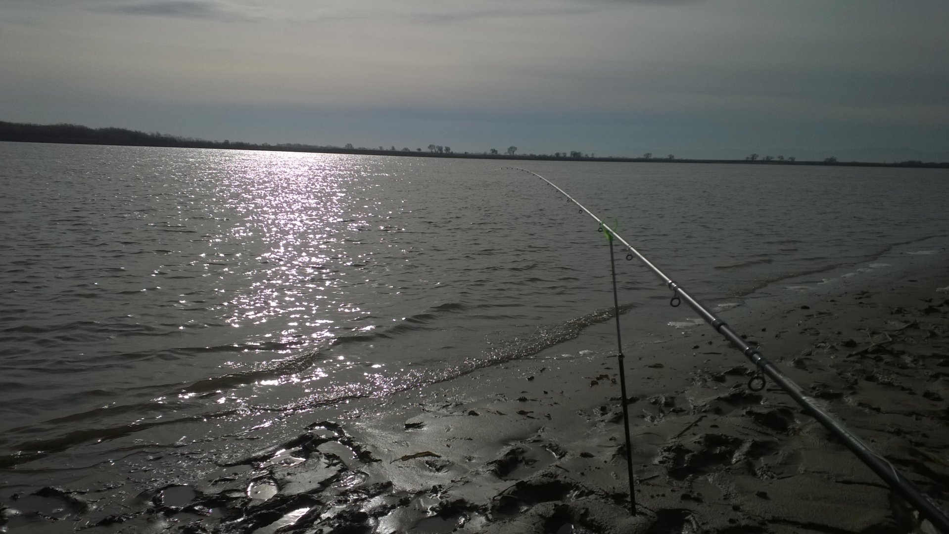 WP_20181026_11_22_45_Pro.jpg