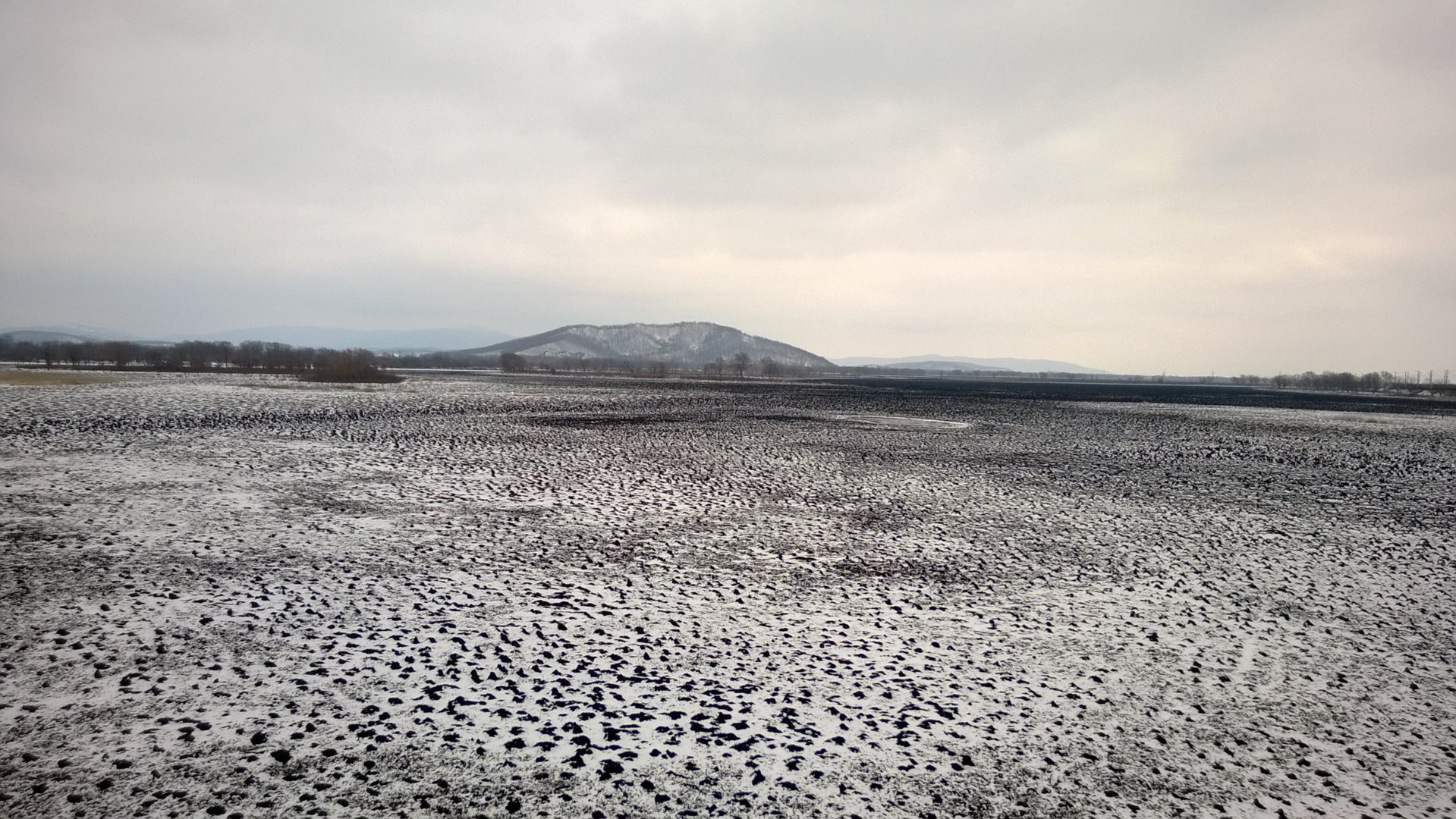 WP_20190314_005.jpg