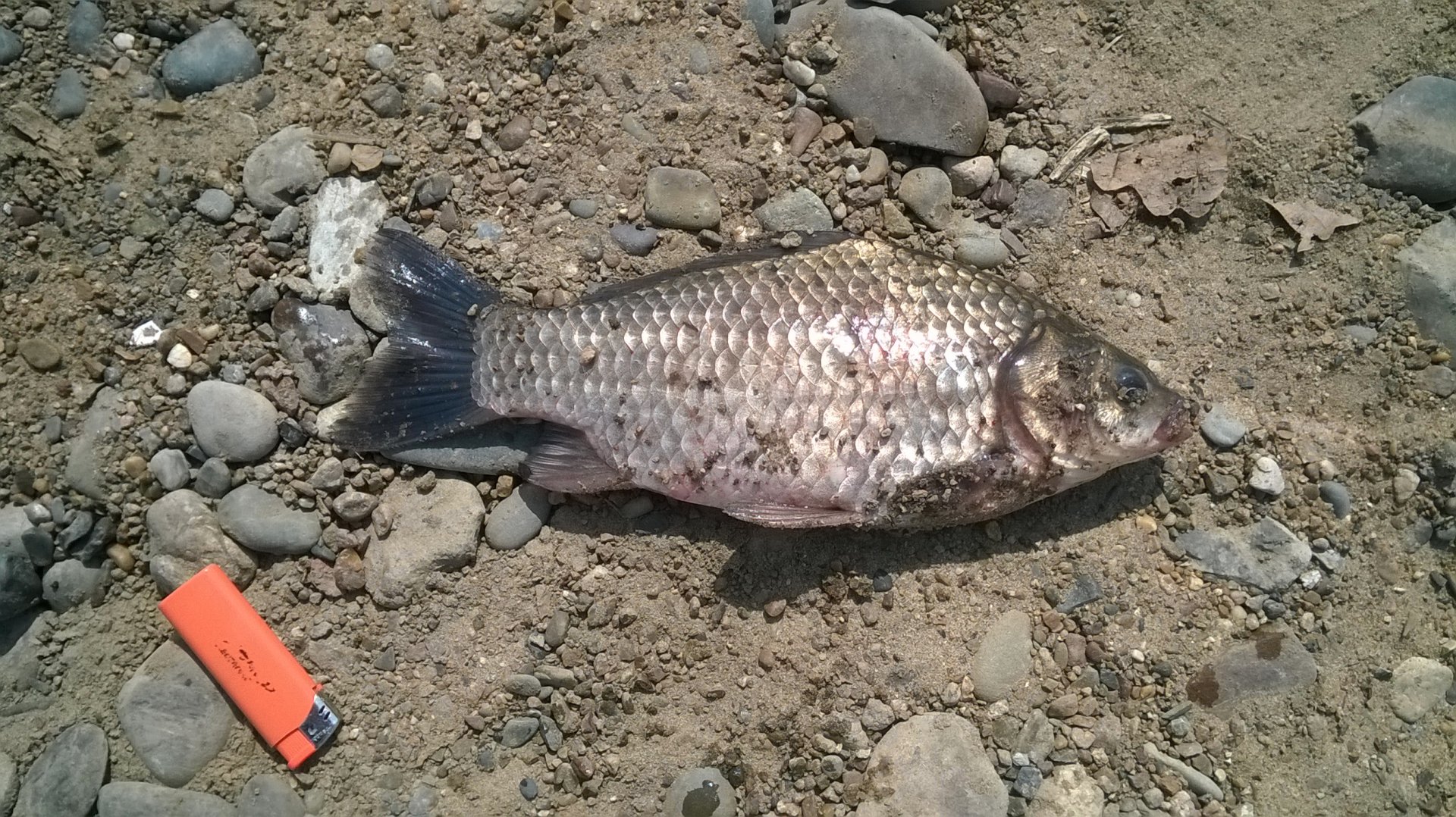 WP_20190504_004.jpg
