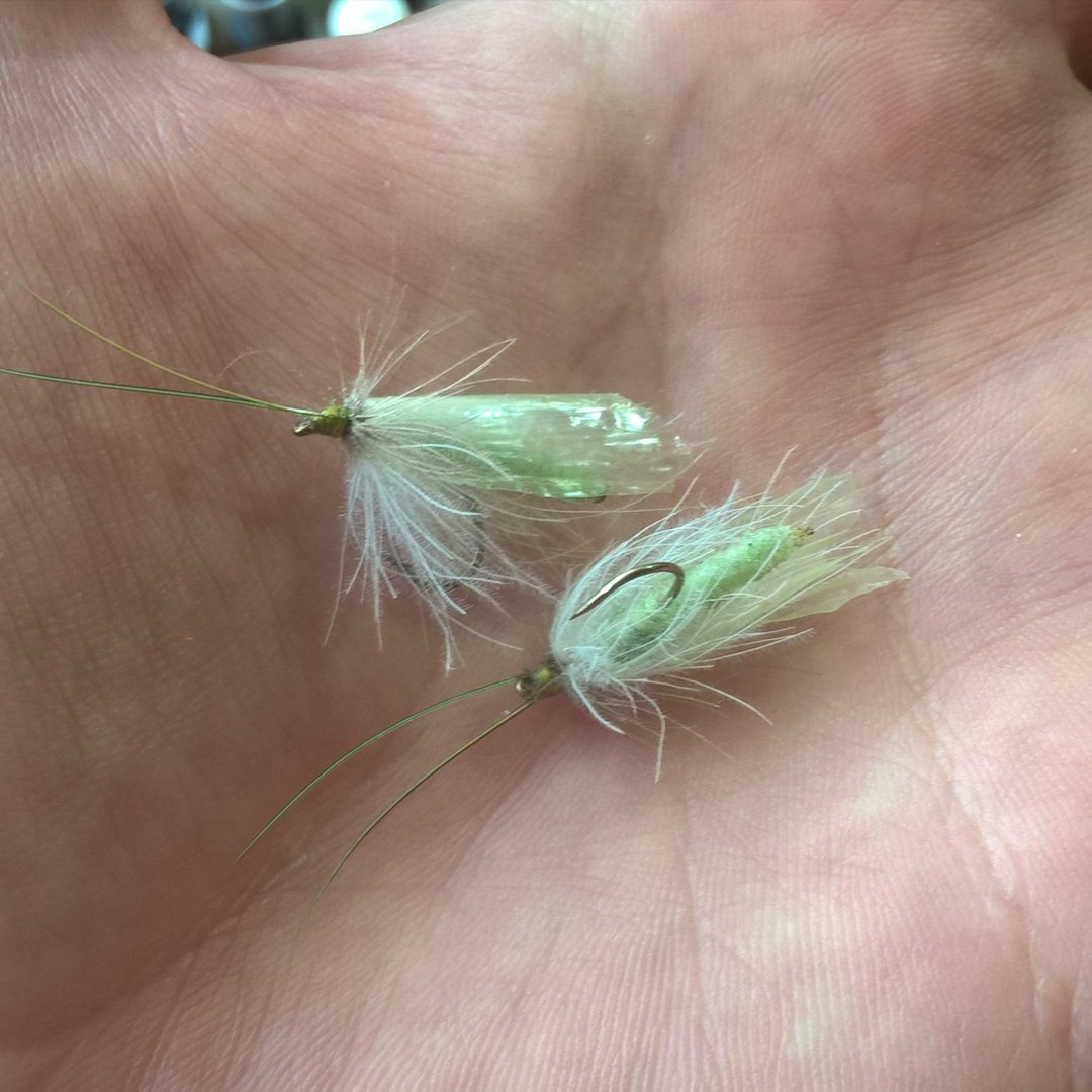 WP_20190510_11_08_08_Pro.jpg