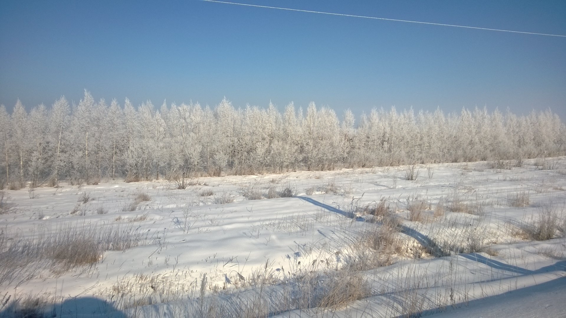 WP_20200226_006.jpg