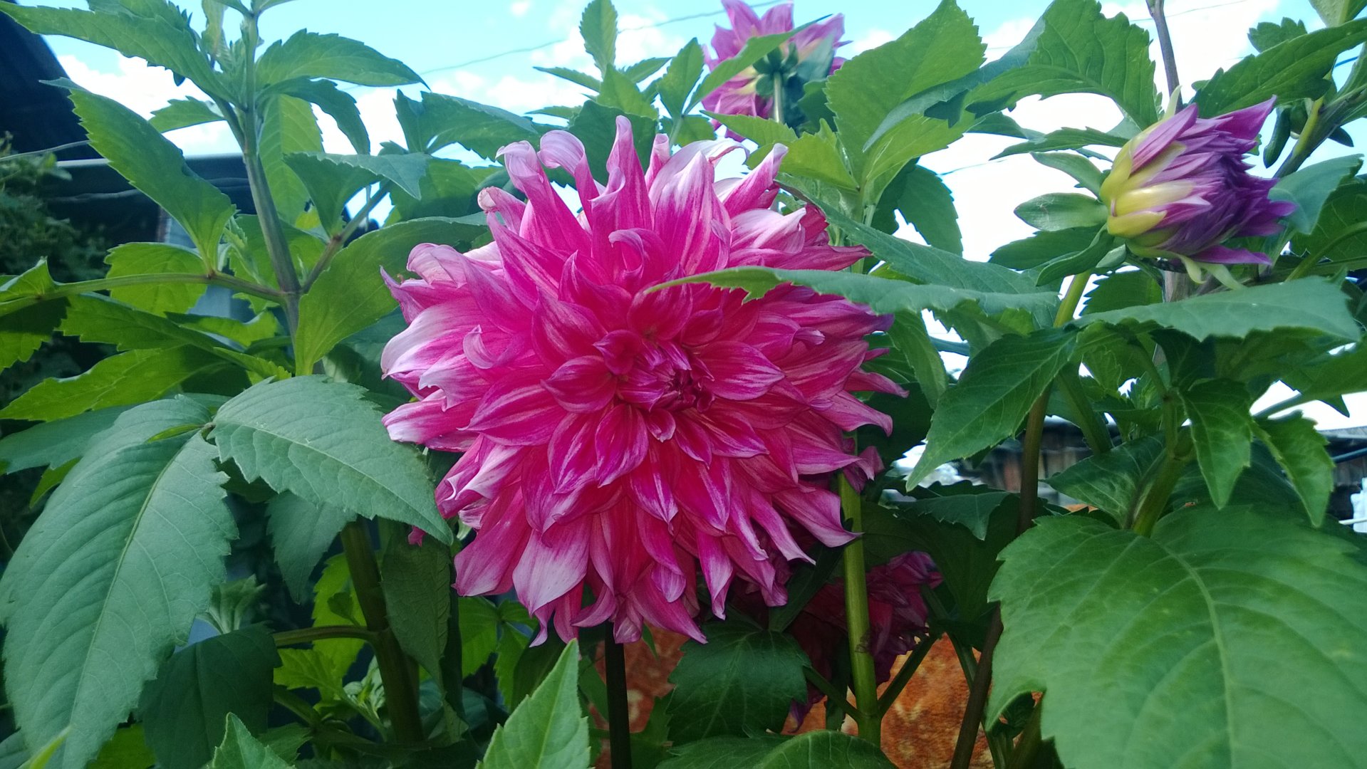 WP_20200820_010.jpg