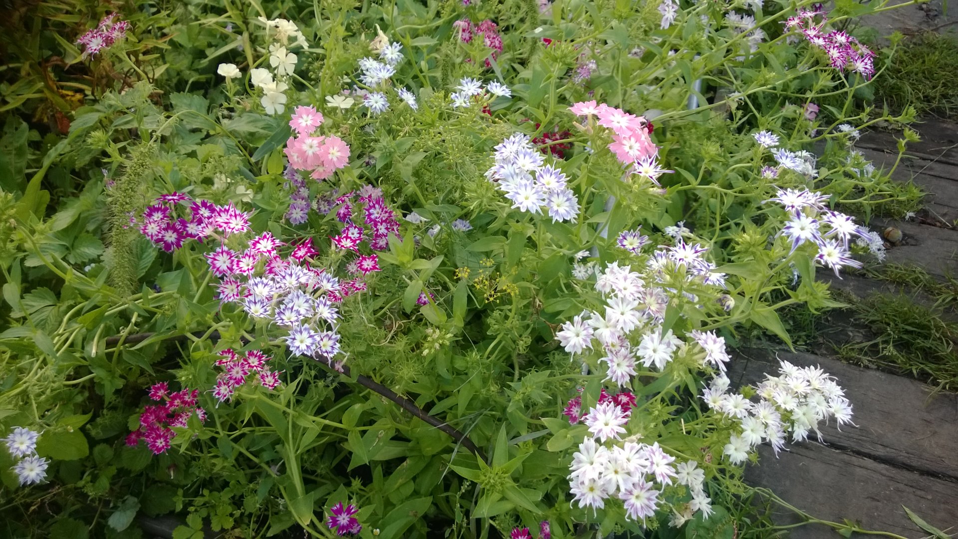 WP_20200820_016.jpg