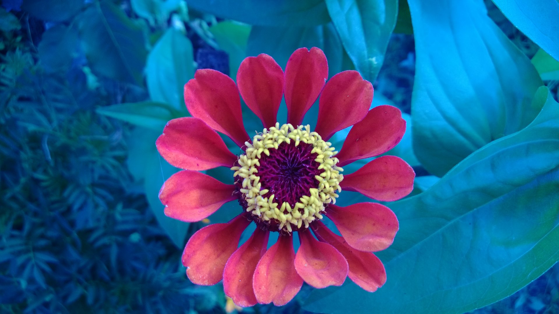 WP_20200820_017.jpg